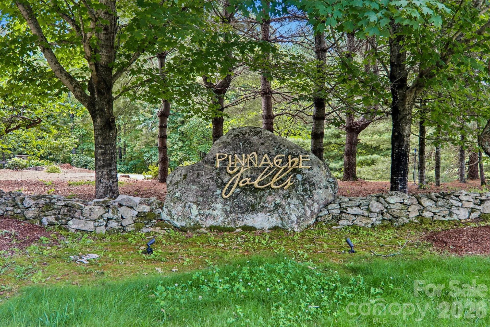 11 Magnolia Branch Drive - Photo 4