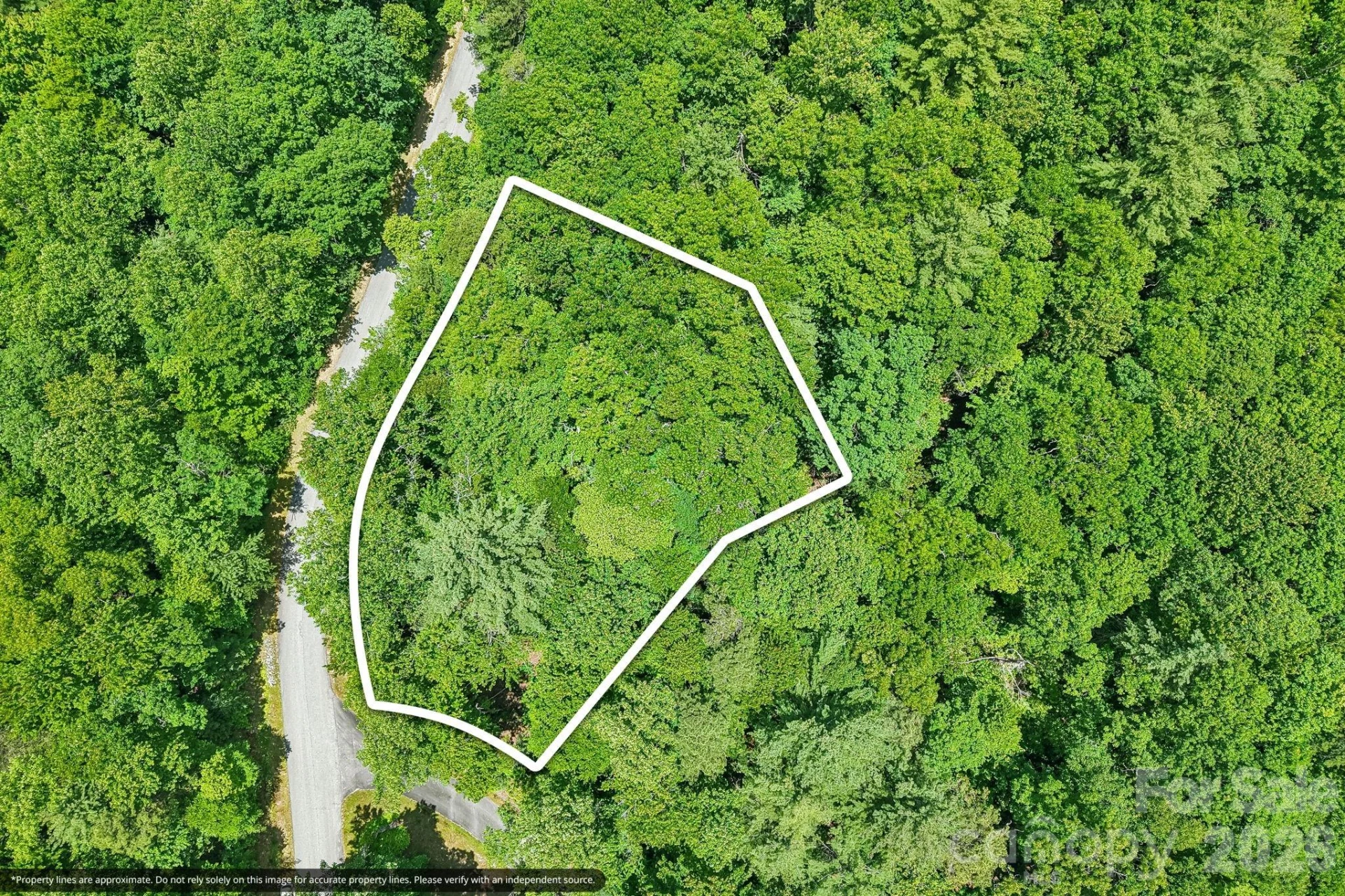11 Magnolia Branch Drive
