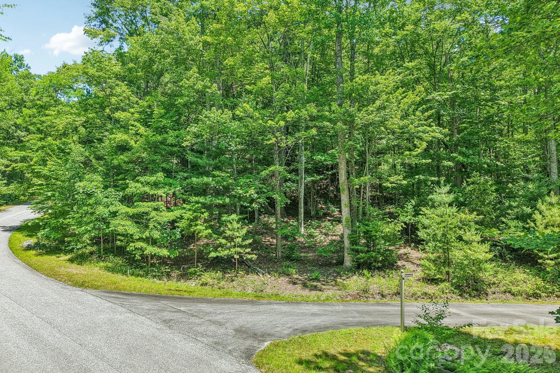 11 Magnolia Branch Drive - Photo 2