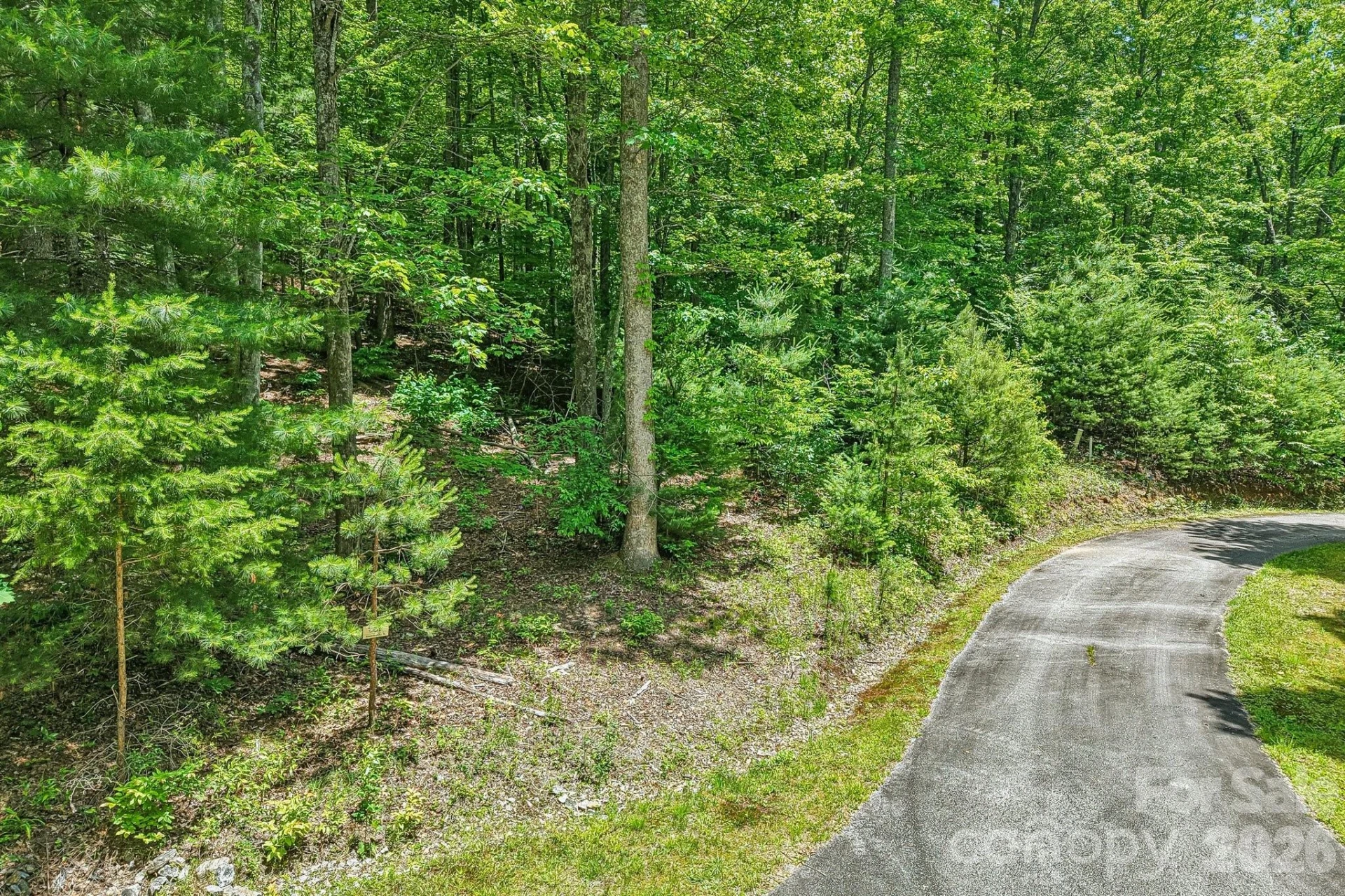 11 Magnolia Branch Drive - Photo 6