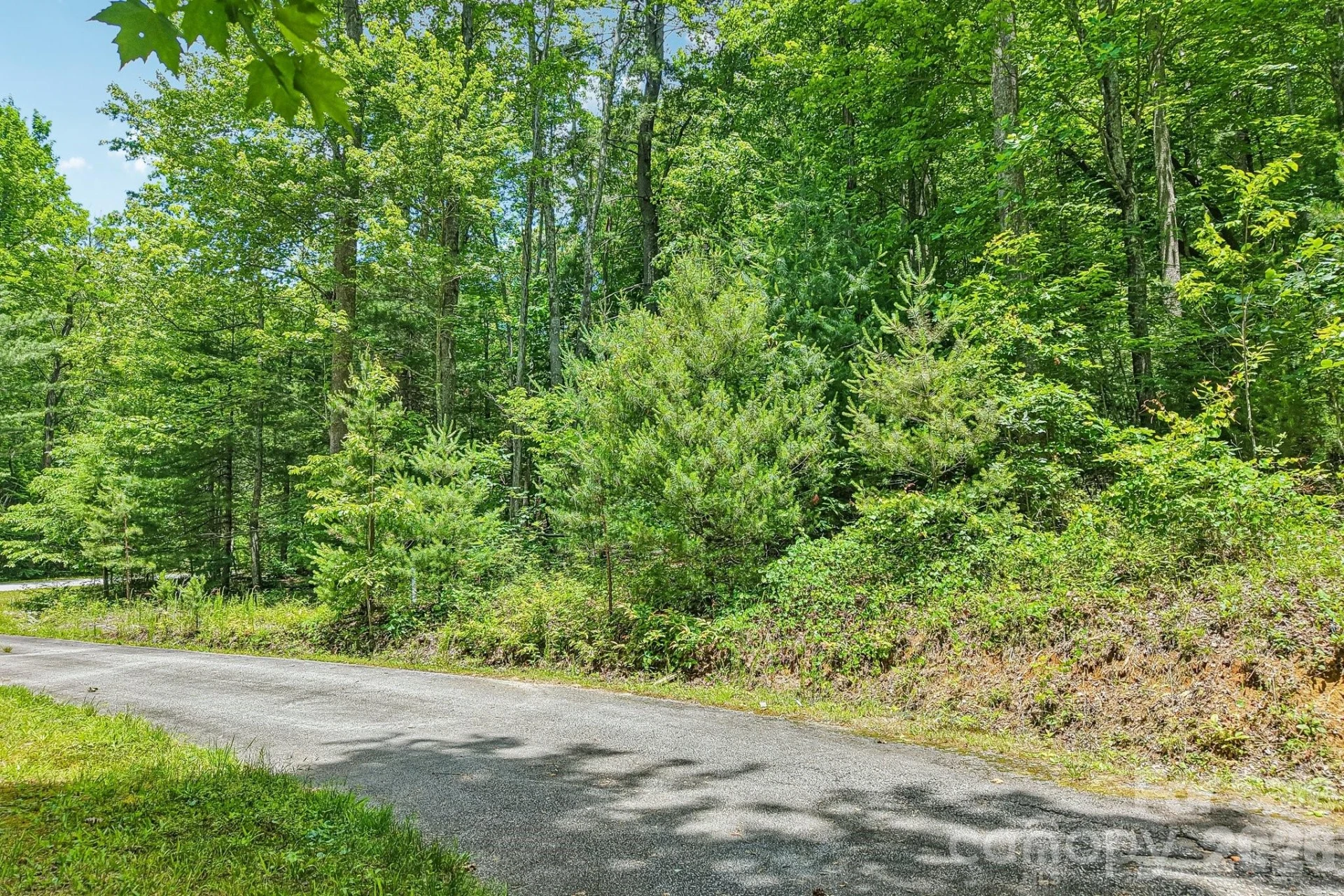 11 Magnolia Branch Drive - Photo 7
