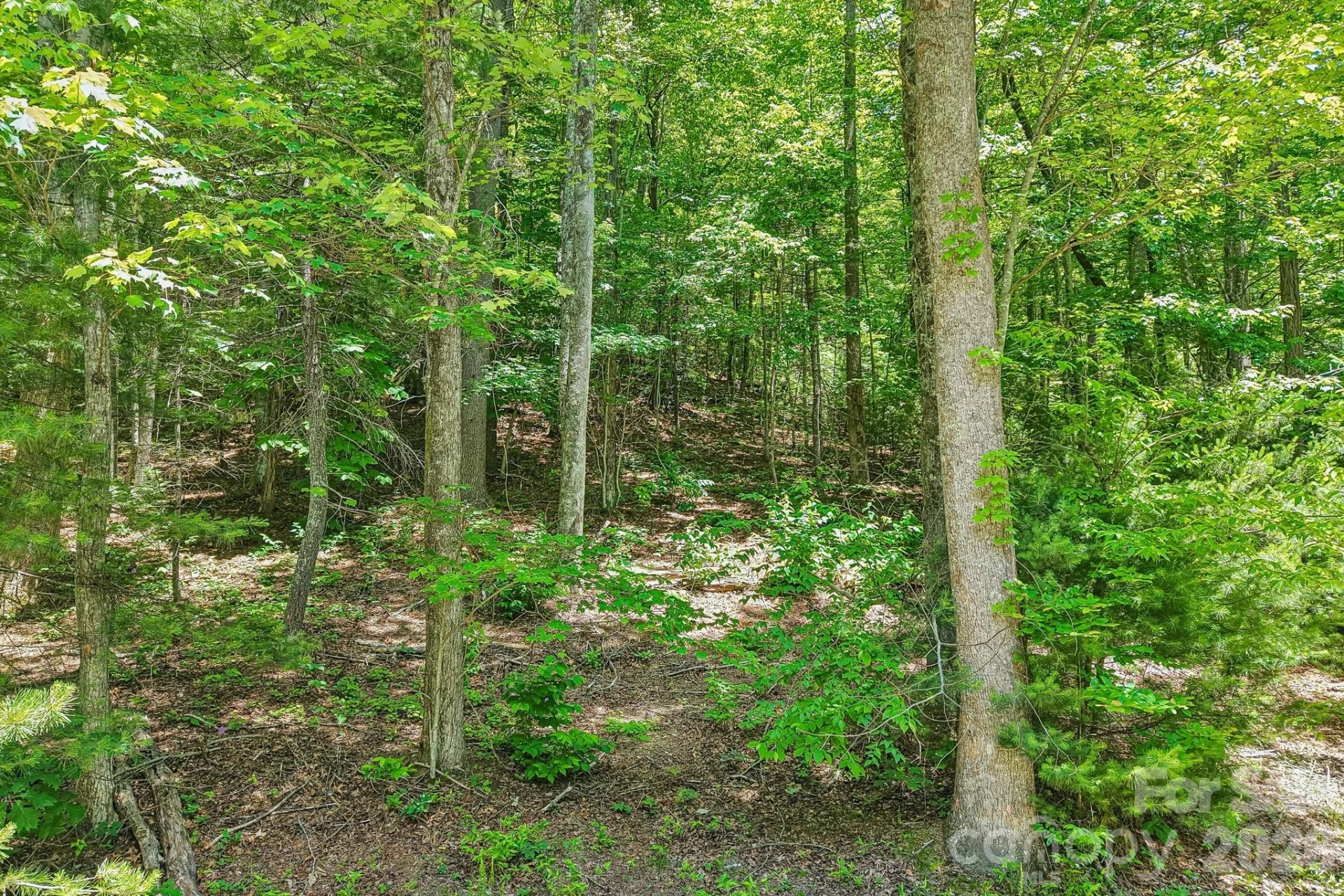11 Magnolia Branch Drive - Photo 9