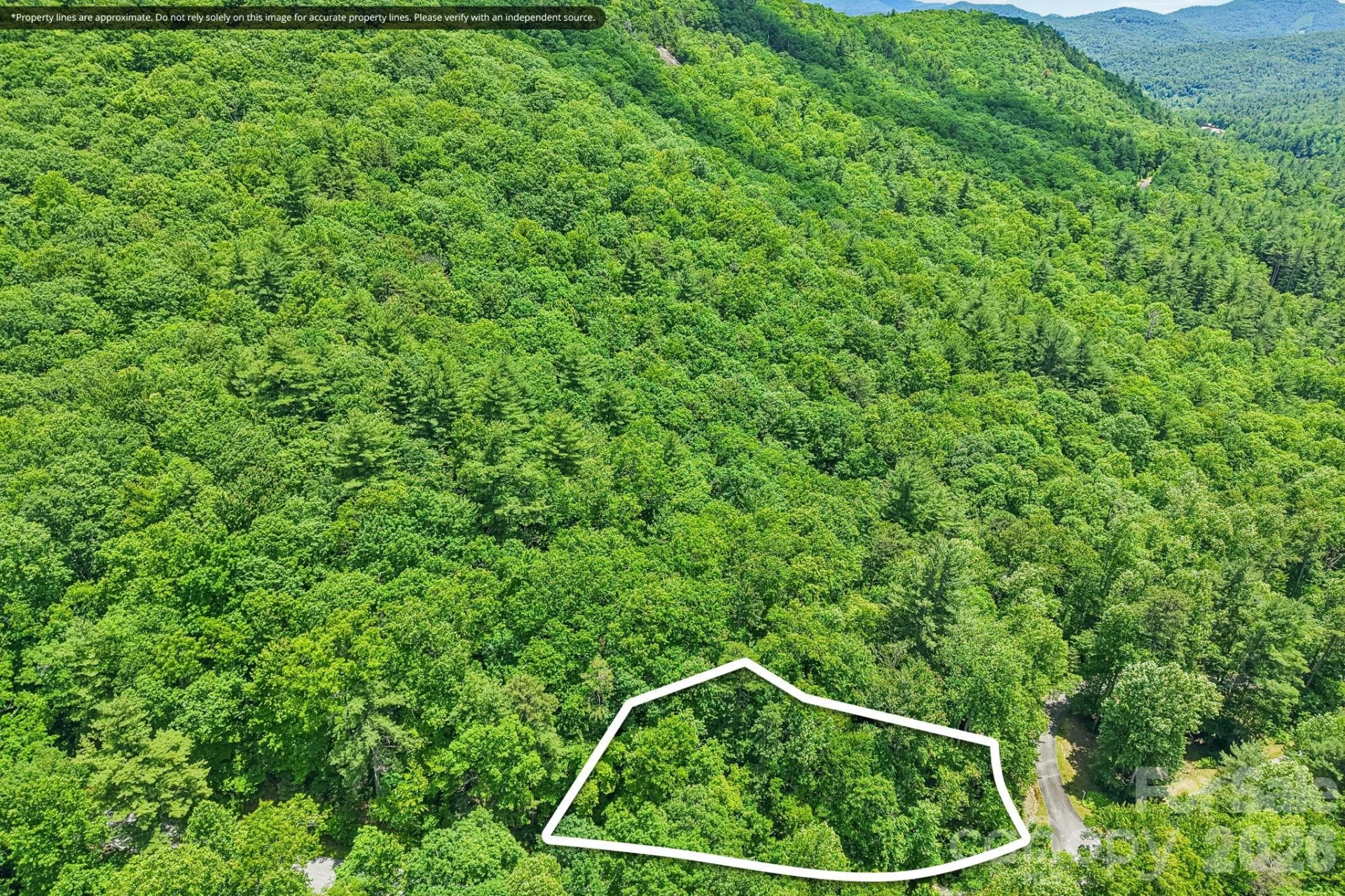11 Magnolia Branch Drive - Photo 3