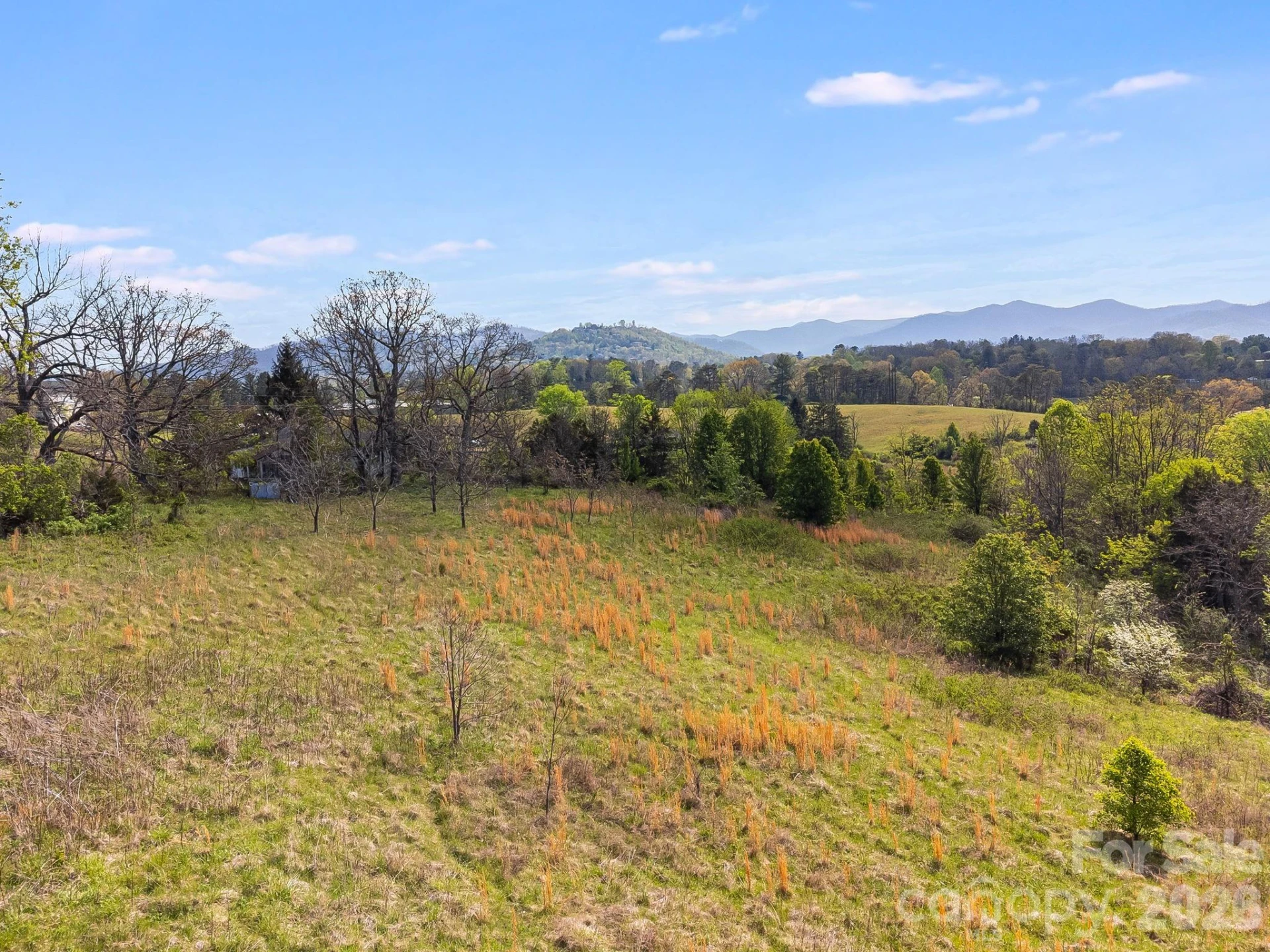 47 Gill Branch Road - Photo 8