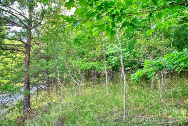 0 Cross Creek Drive