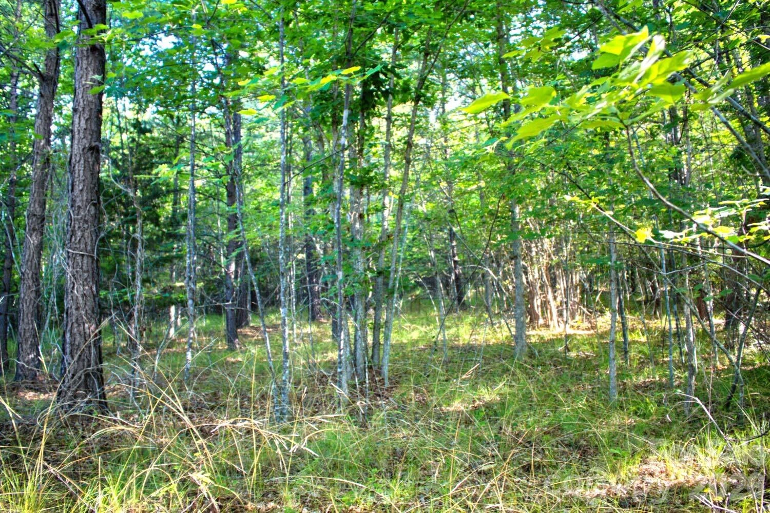 0 Cross Creek Drive #68 - Photo 2