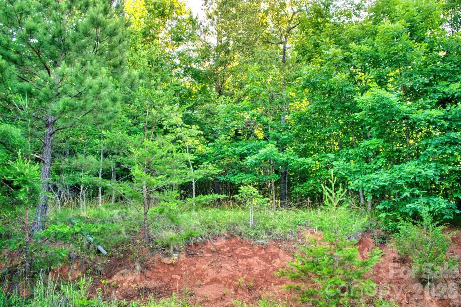 0 Cross Creek Drive #68 - Photo 3