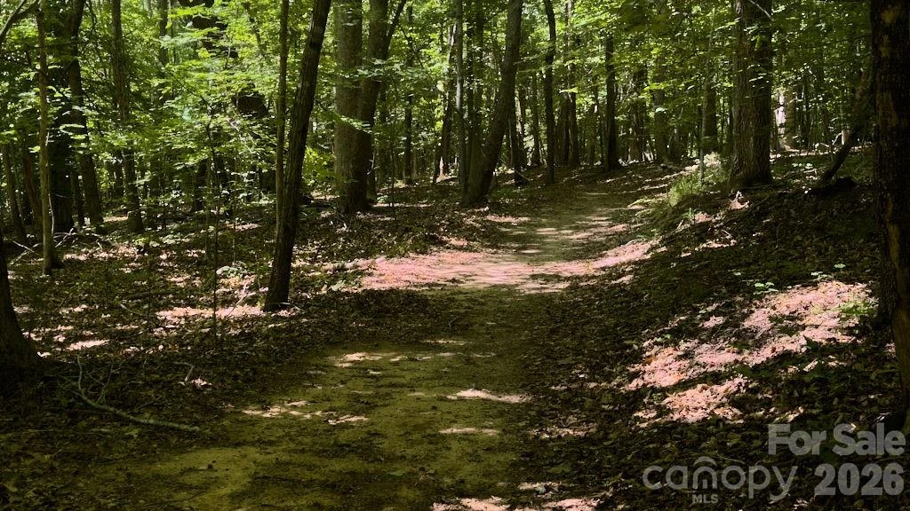 9818 S NC 9 Lane - Photo 16