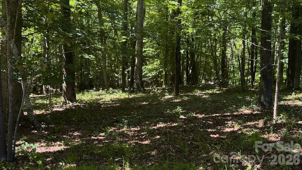 9818 S NC 9 Lane - Photo 17