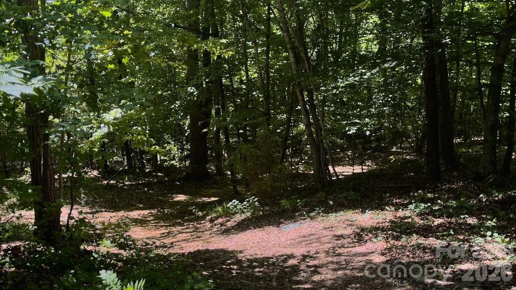 9818 S NC 9 Lane - Photo 18