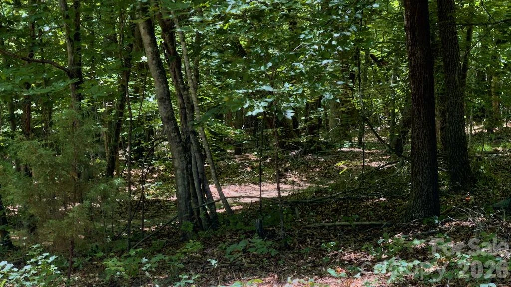 9818 S NC 9 Lane - Photo 19