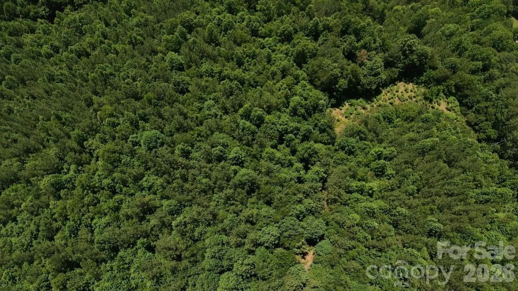 9818 S NC 9 Lane - Photo 8