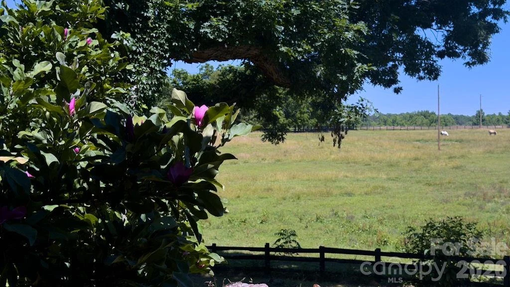 9818 S NC 9 Lane - Photo 9
