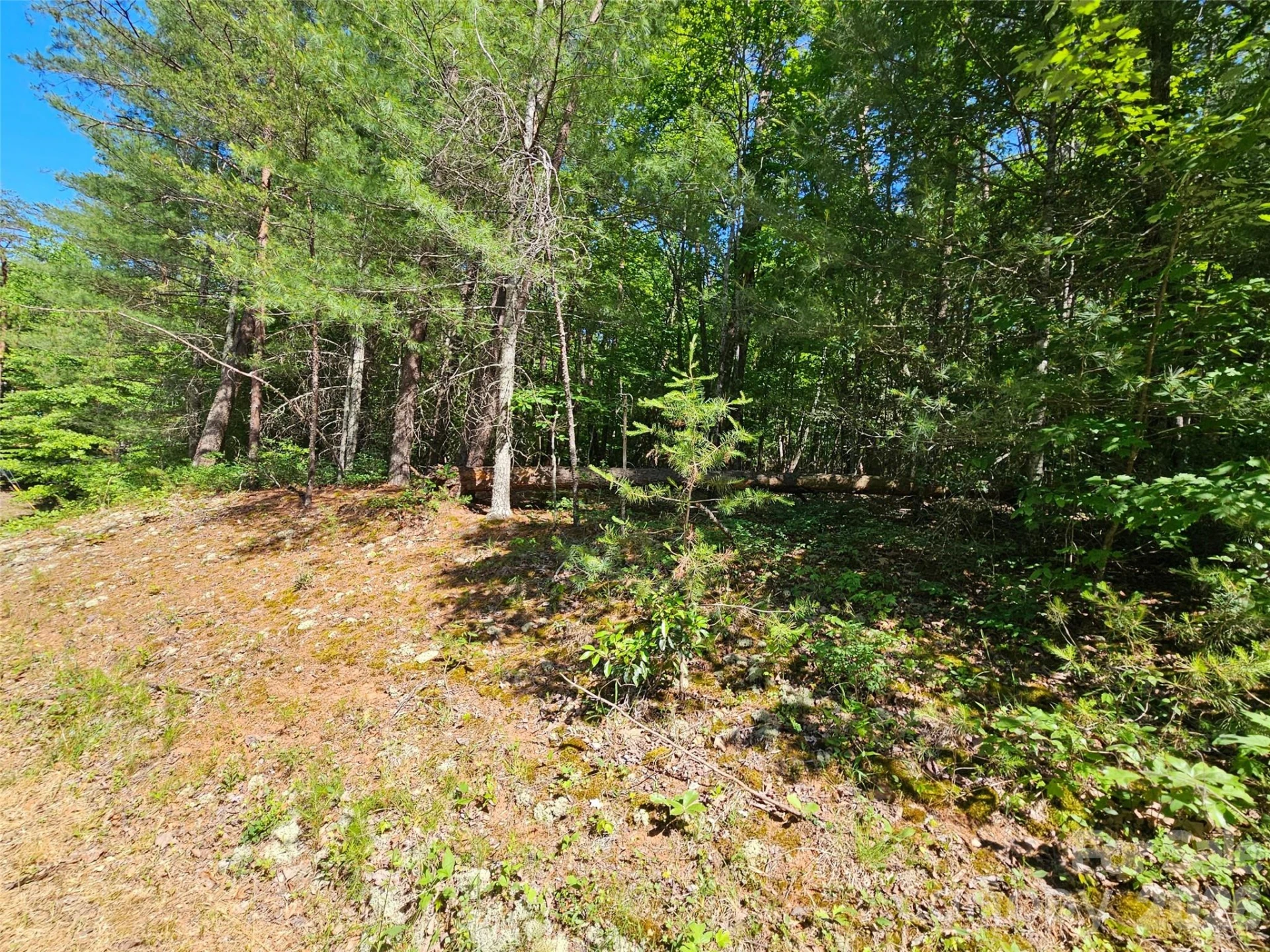 136 Doves Way #136 - Photo 2
