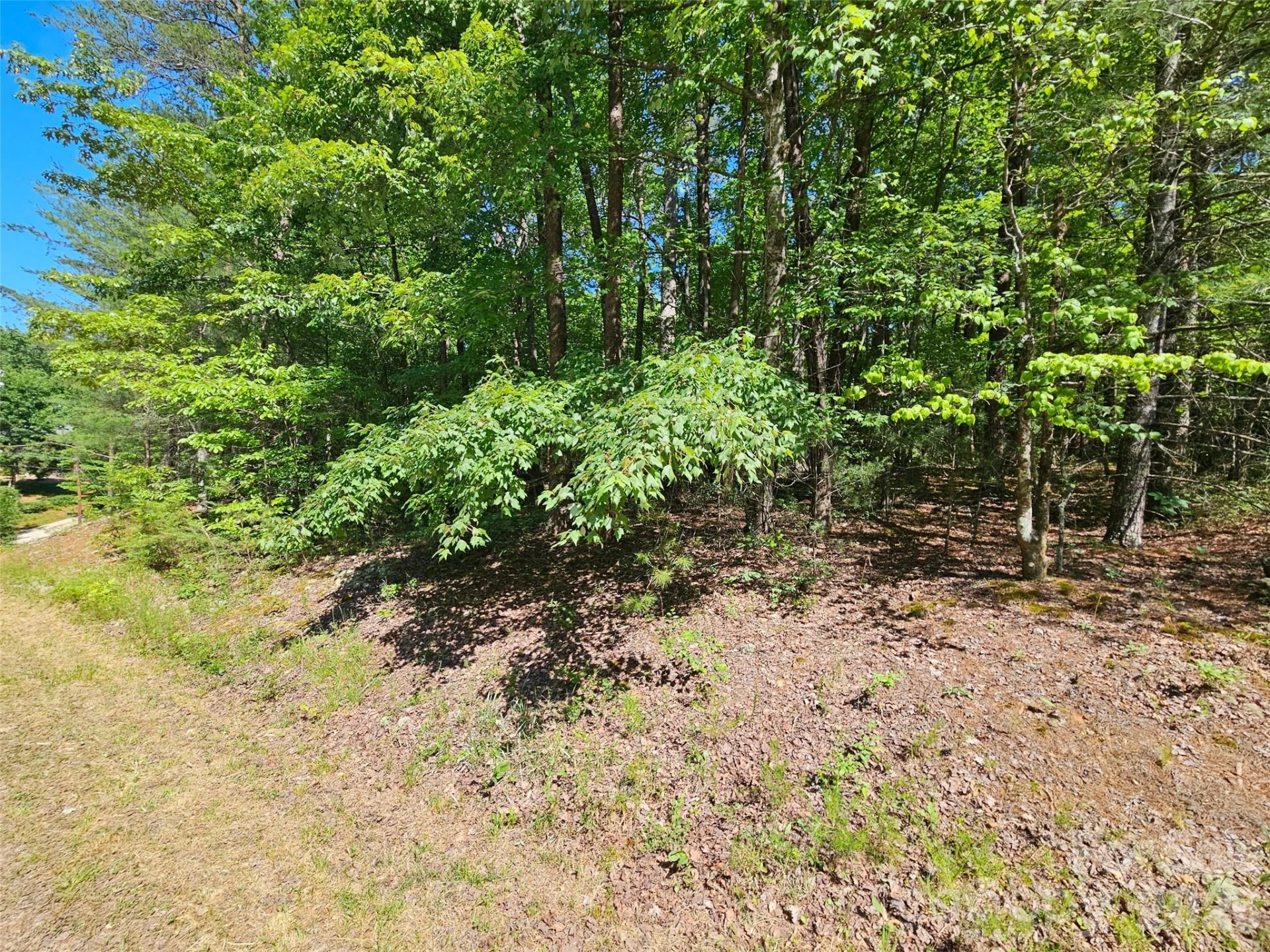 136 Doves Way #136 - Photo 4