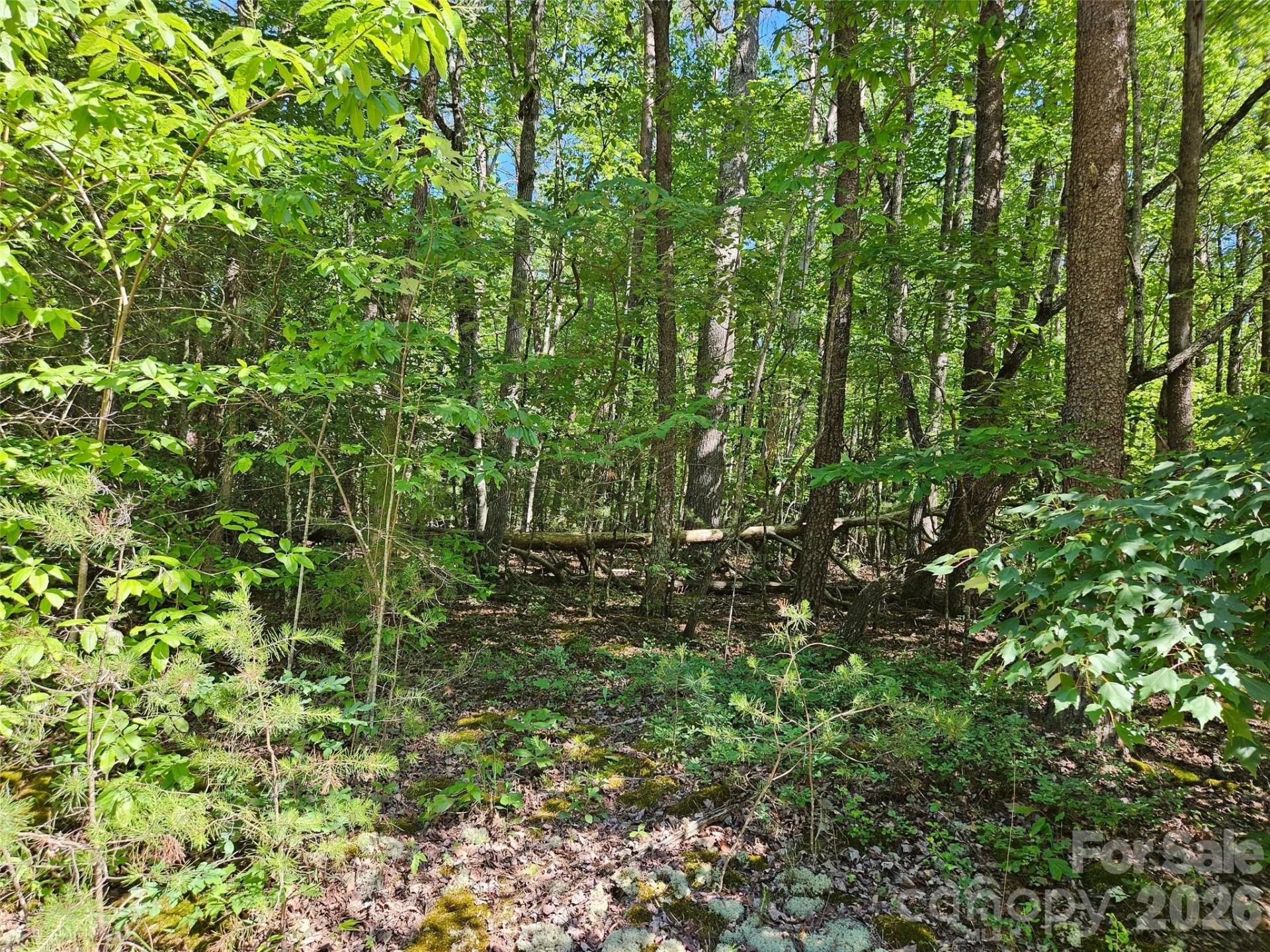 136 Doves Way #136 - Photo 7