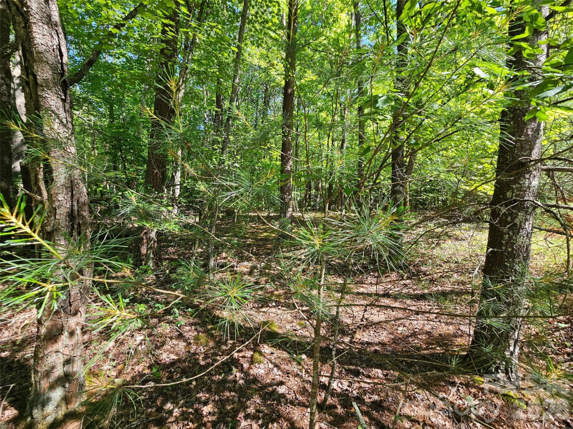 136 Doves Way #136 - Photo 8