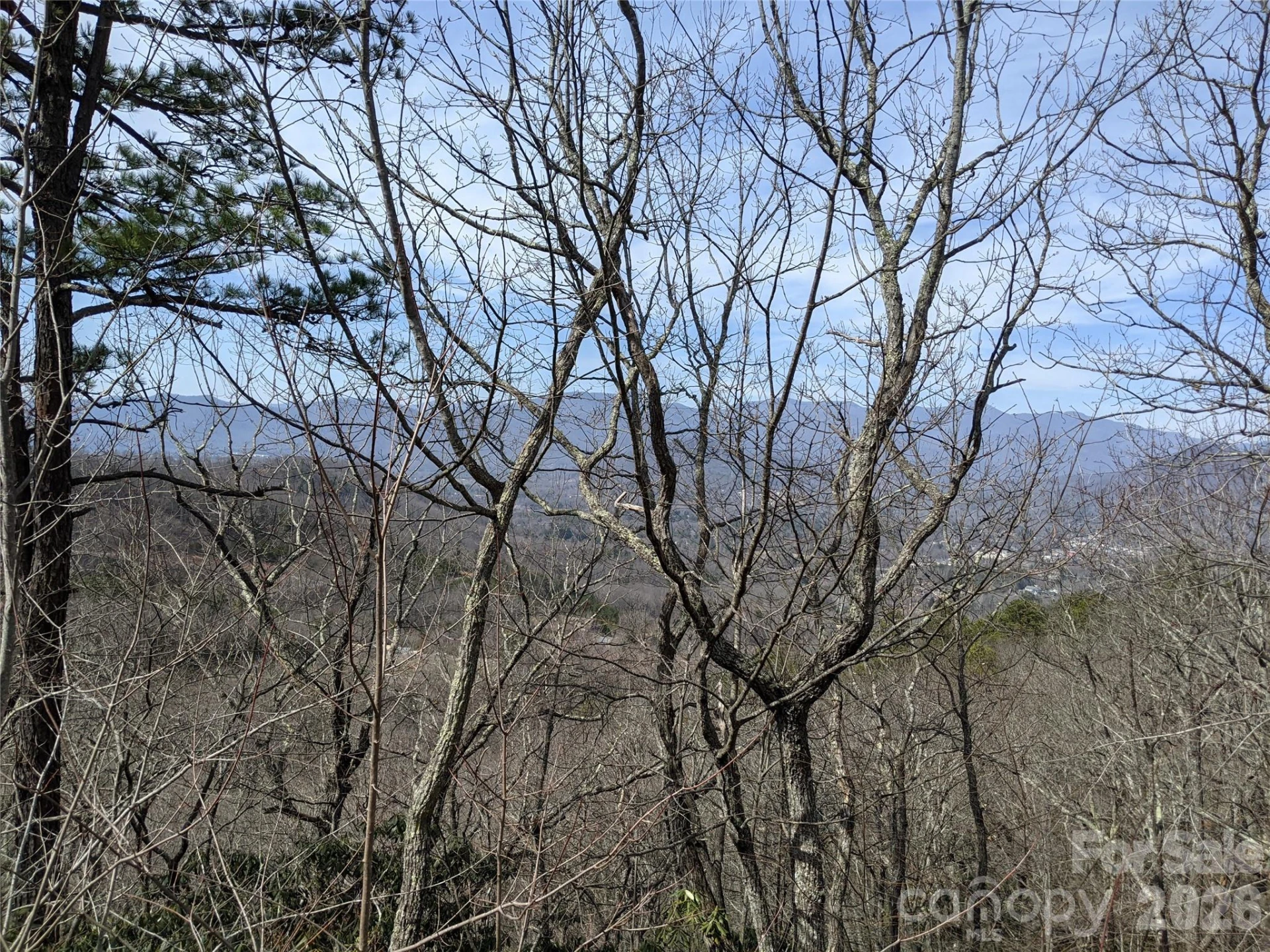 124 Settings Boulevard - Photo 4