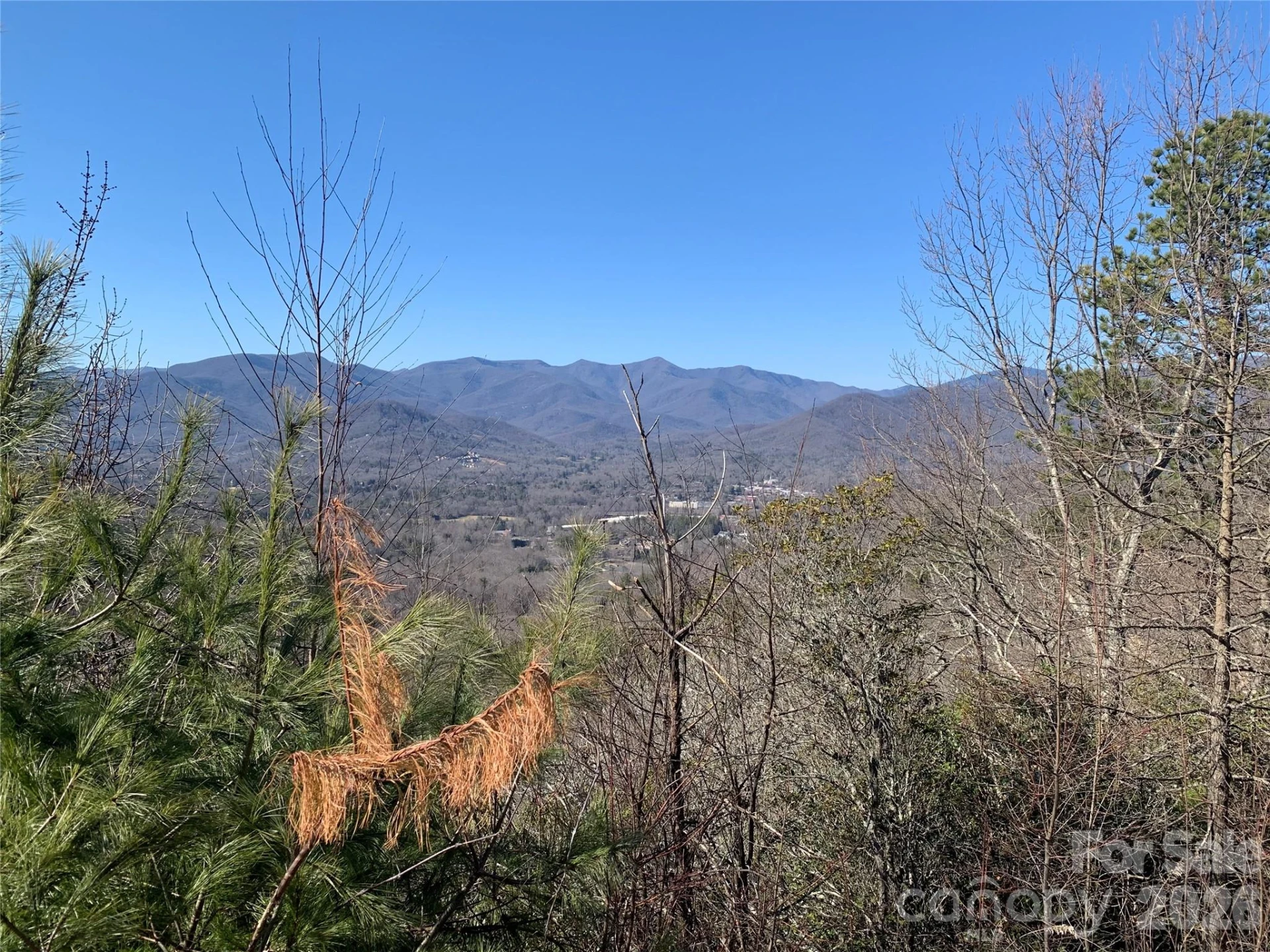 124 Settings Boulevard - Photo 7