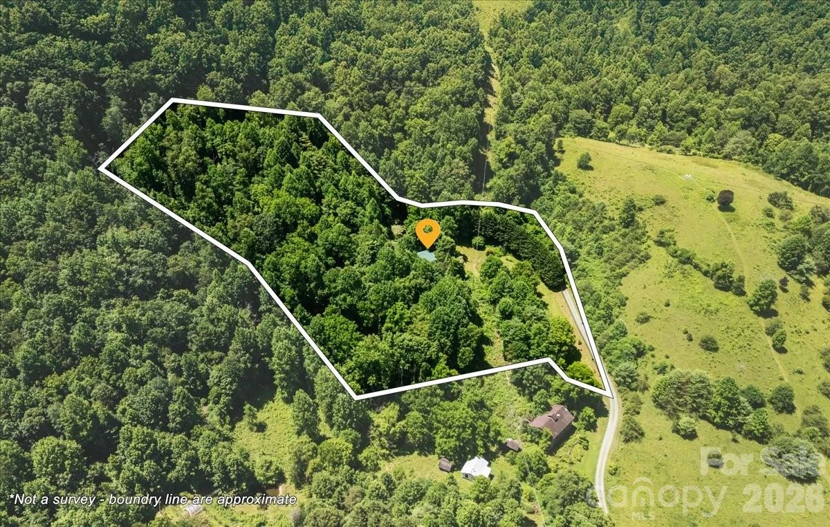 128 Barnet Mountain Drive - Photo 4