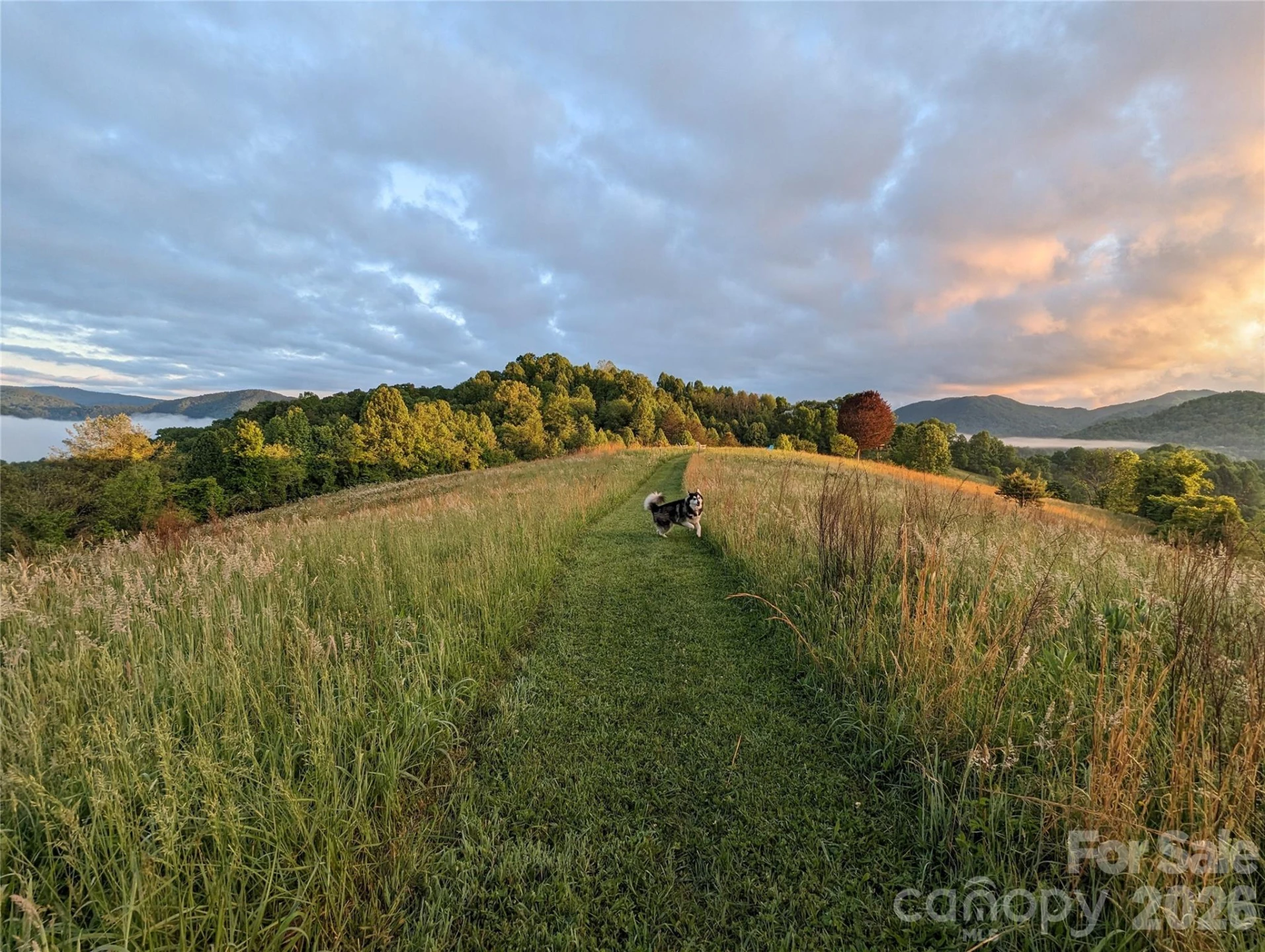 128 Barnet Mountain Drive - Photo 8