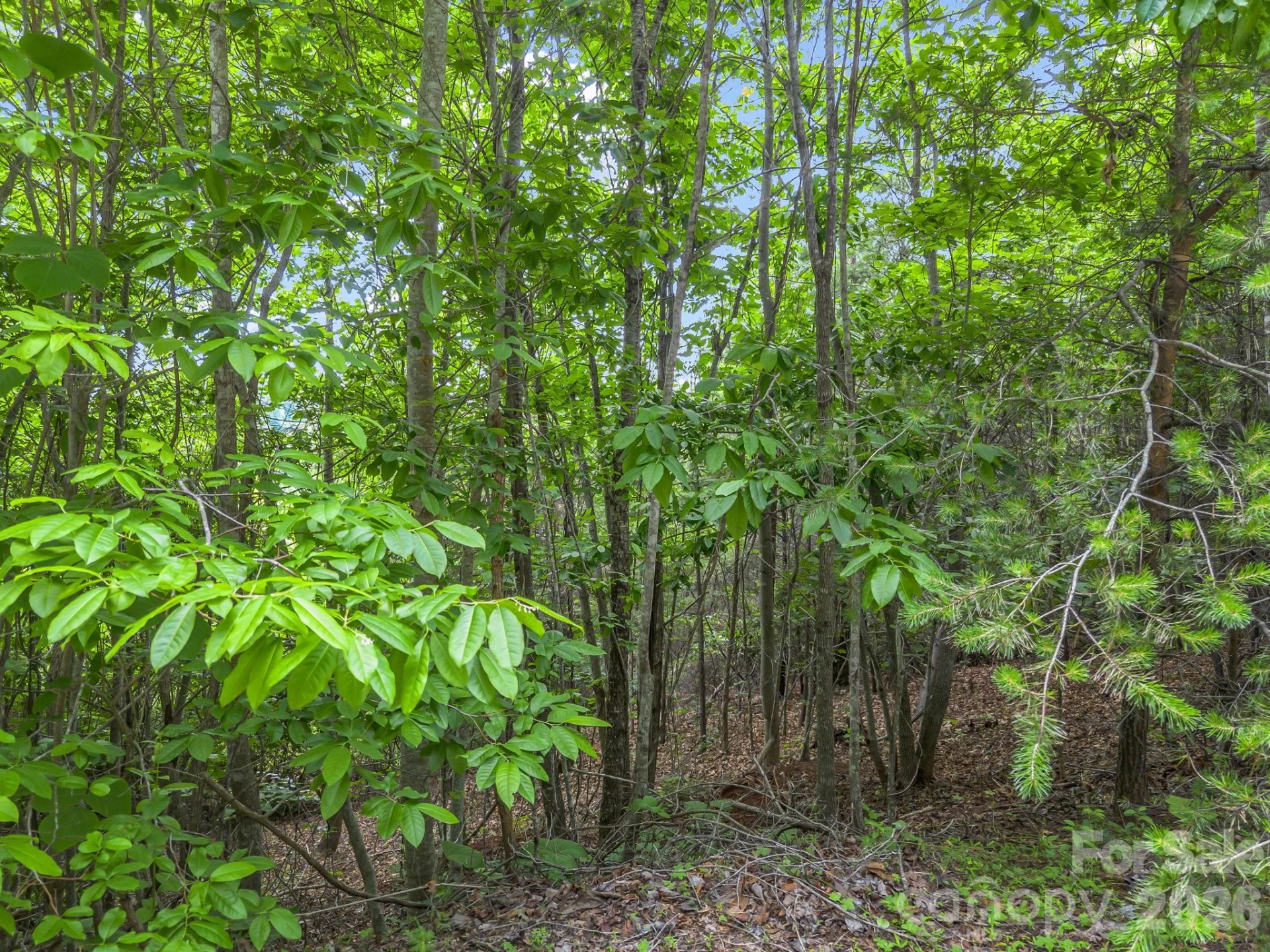 0 Sandpiper Avenue - Photo 11