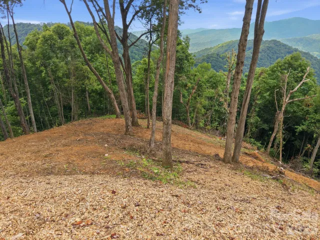 99999 Davidson Gap Road, Leicester, NC, 28748