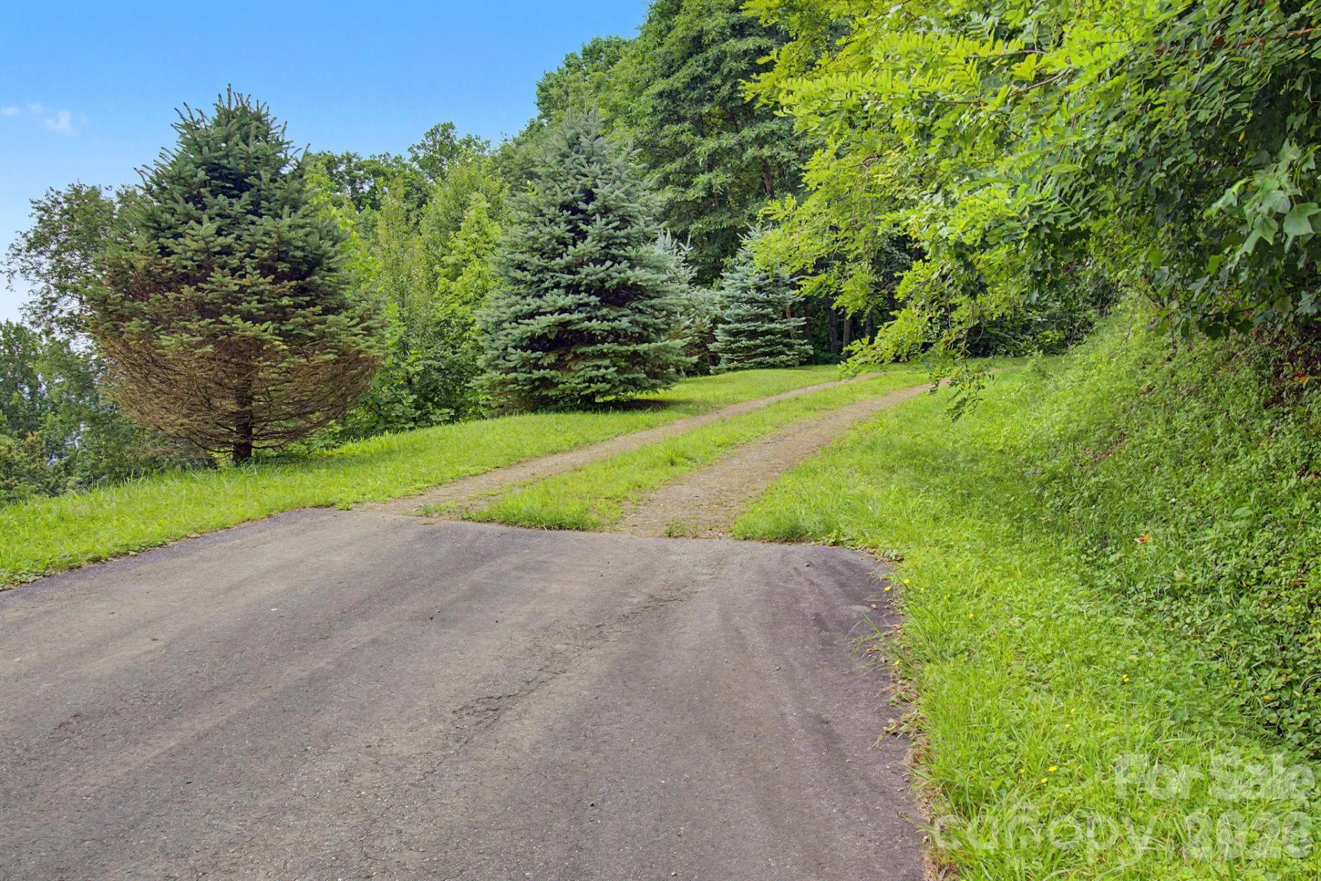 99999 Davidson Gap Road #79 - Photo 9