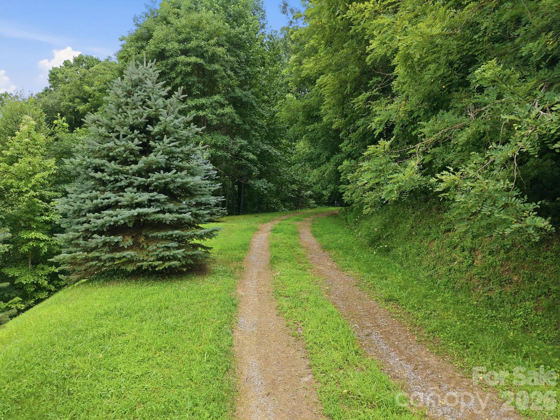 99999 Davidson Gap Road #79 - Photo 10