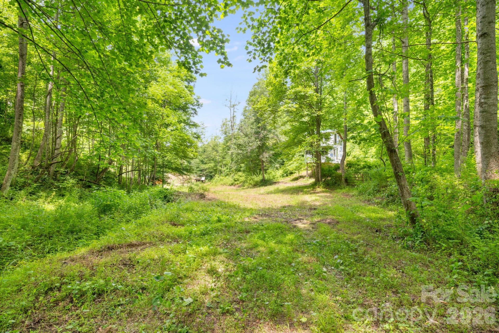 224 Allen Drive - Photo 11