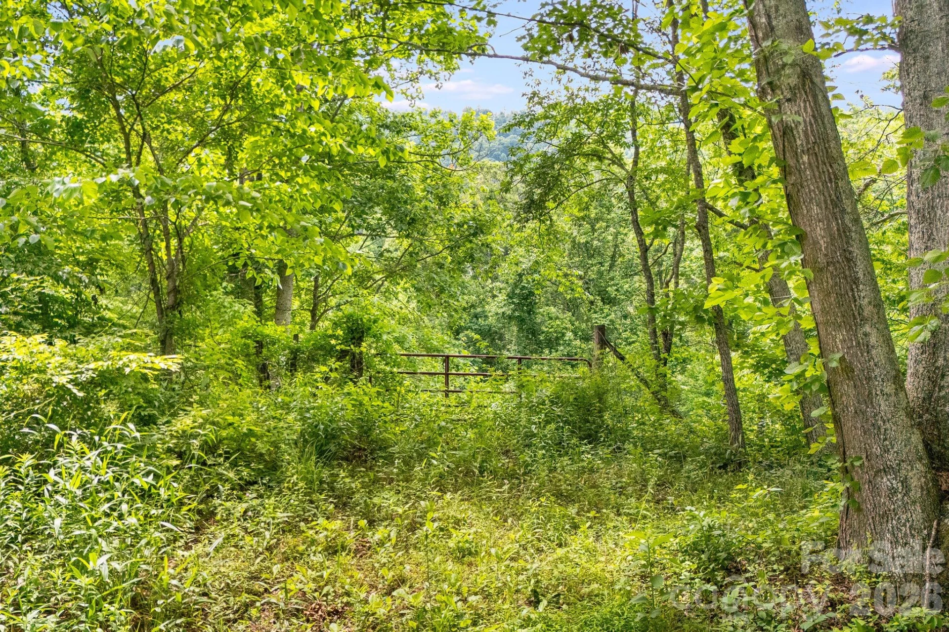224 Allen Drive - Photo 10