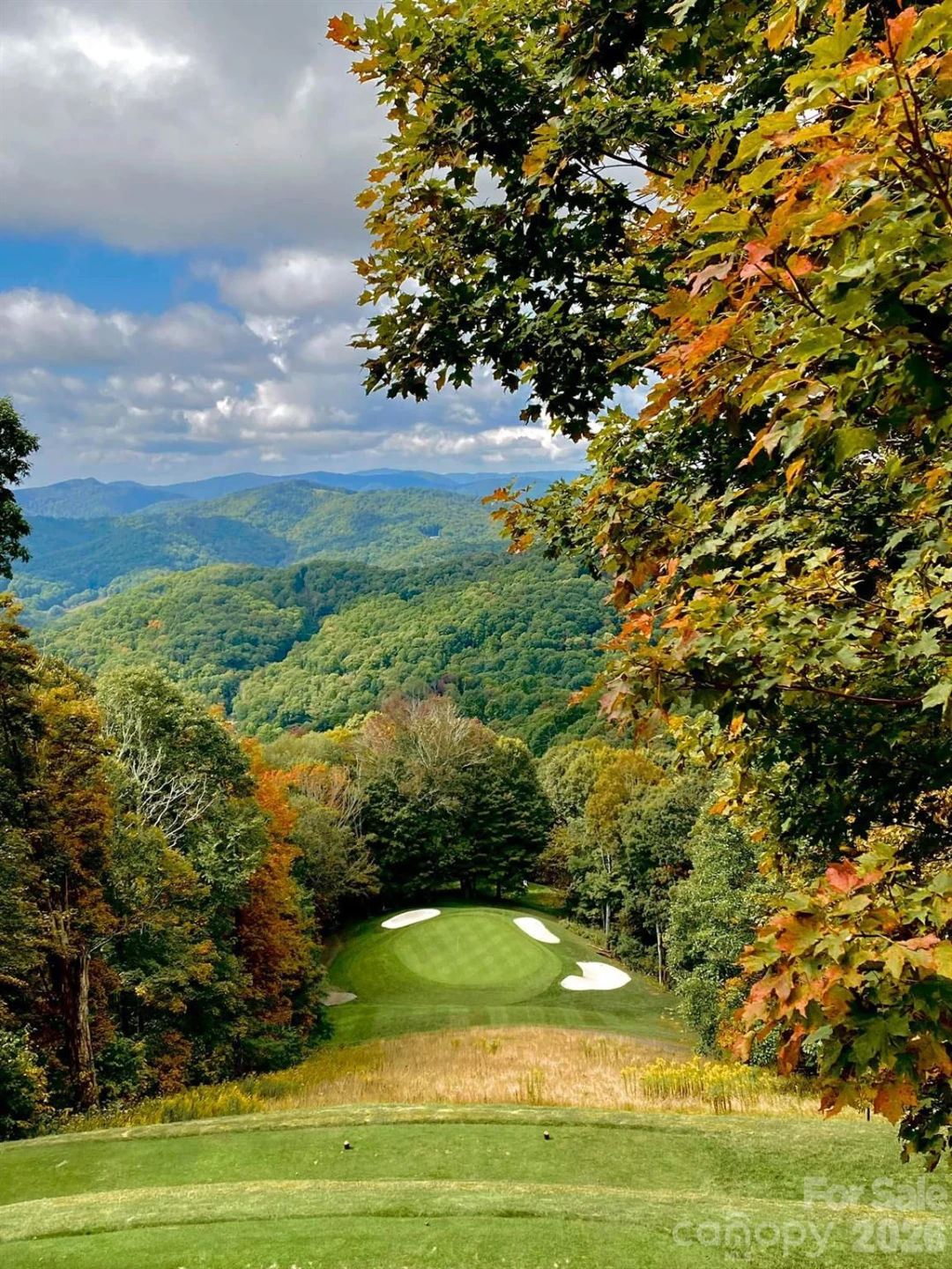 201 Hampton Gap Drive - Photo 30