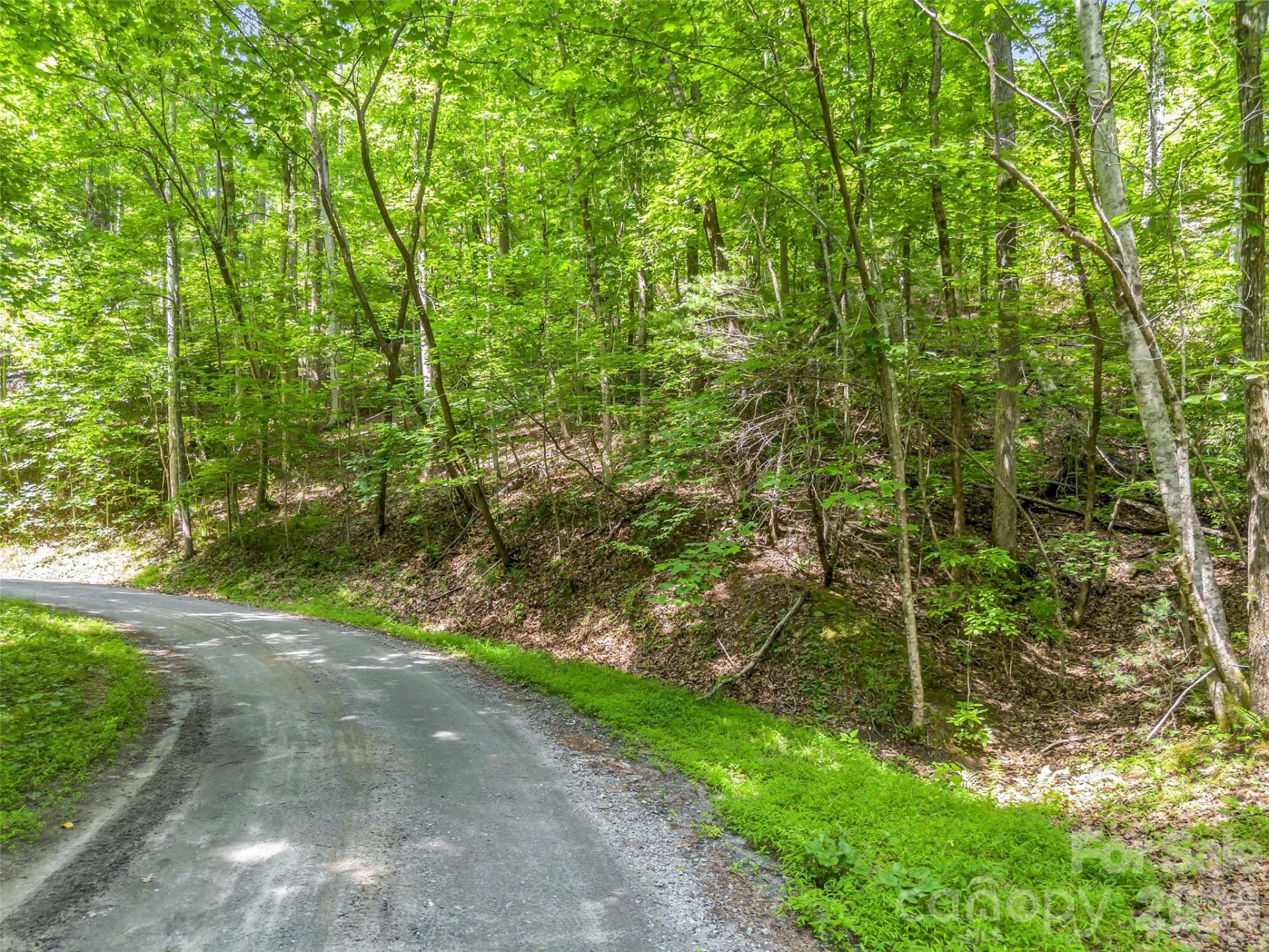 00 Chipmonk Trail #107 - Photo 3