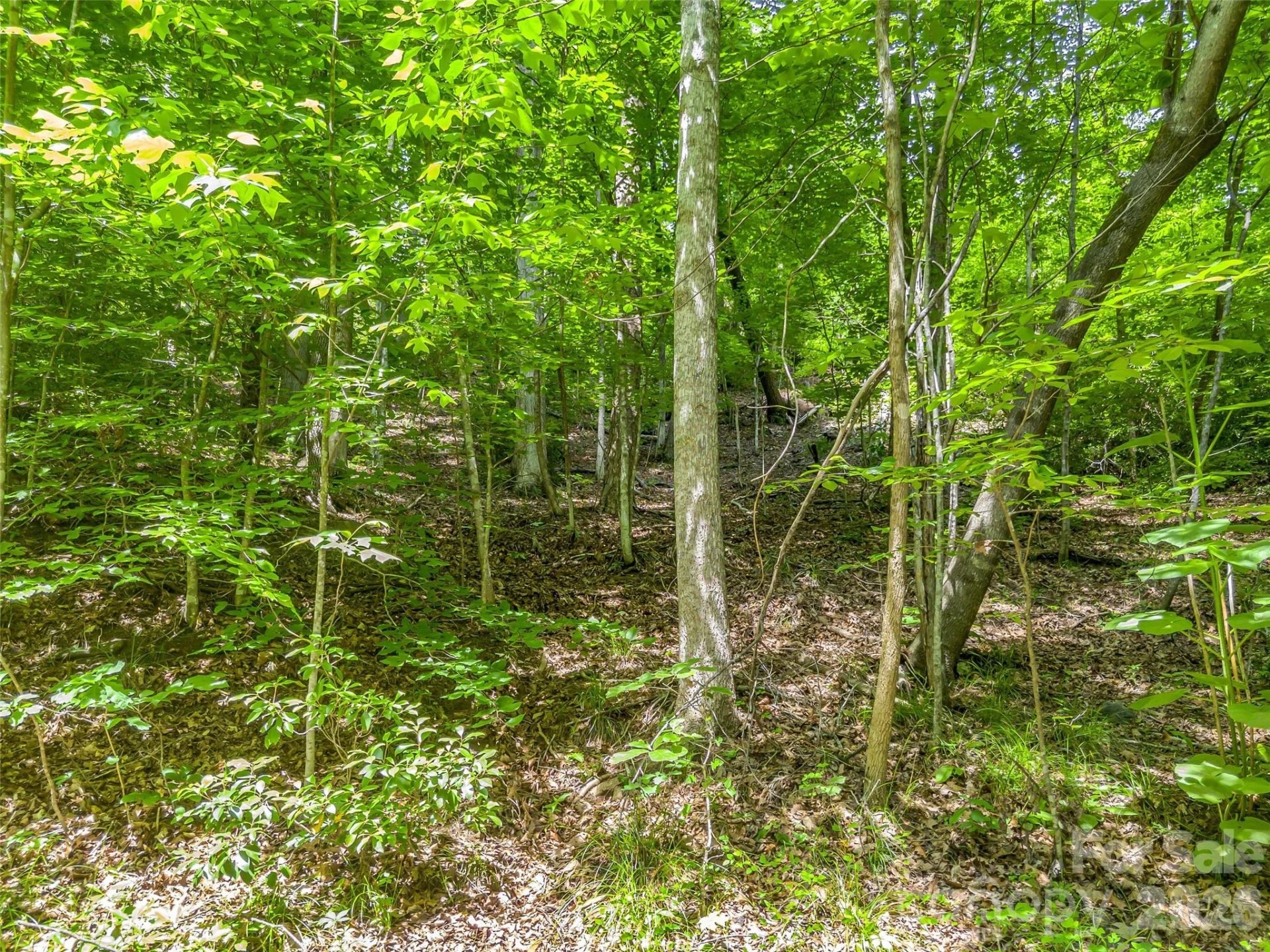 00 Chipmonk Trail #107 - Photo 5