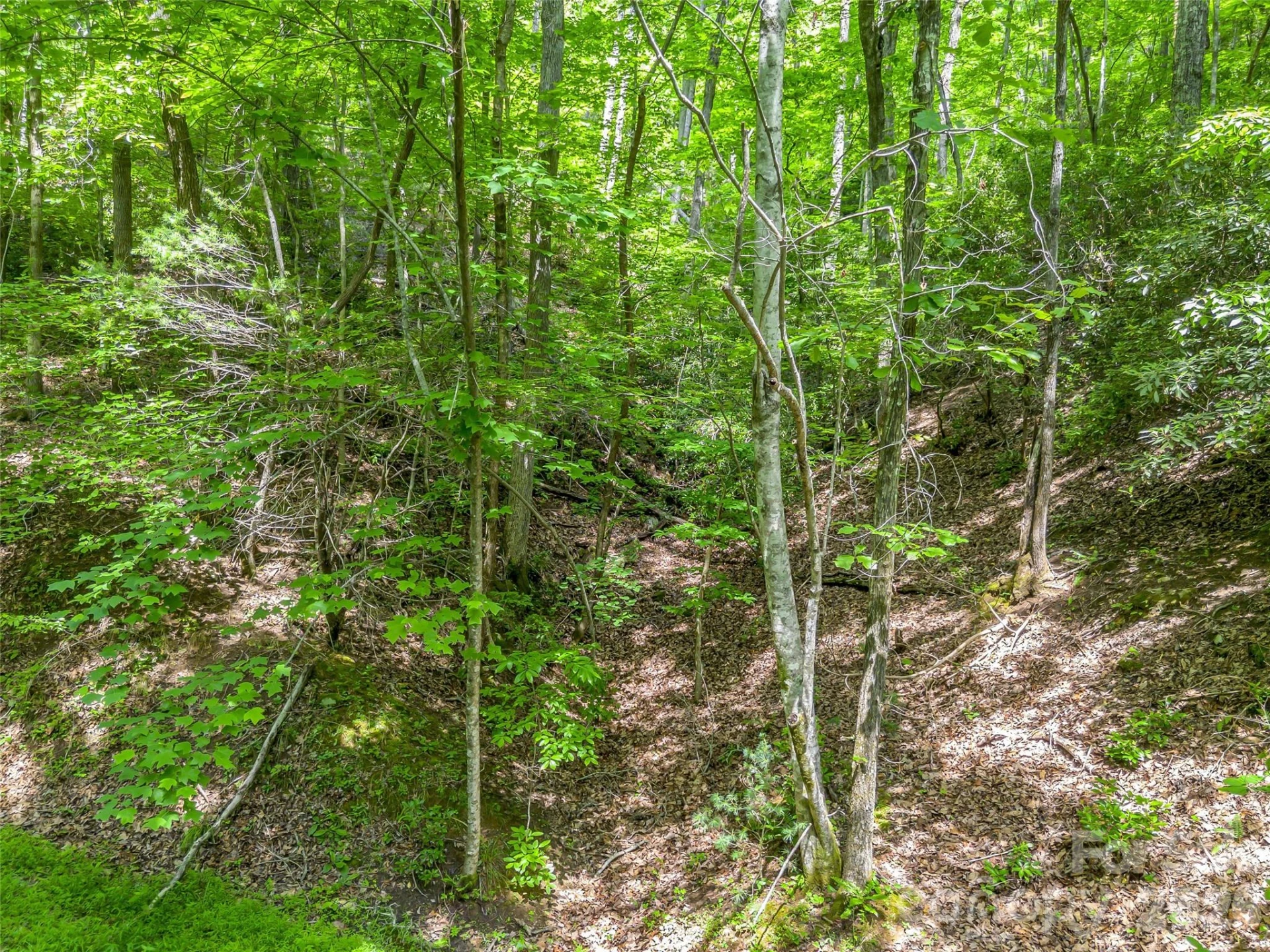 00 Chipmonk Trail #107 - Photo 6