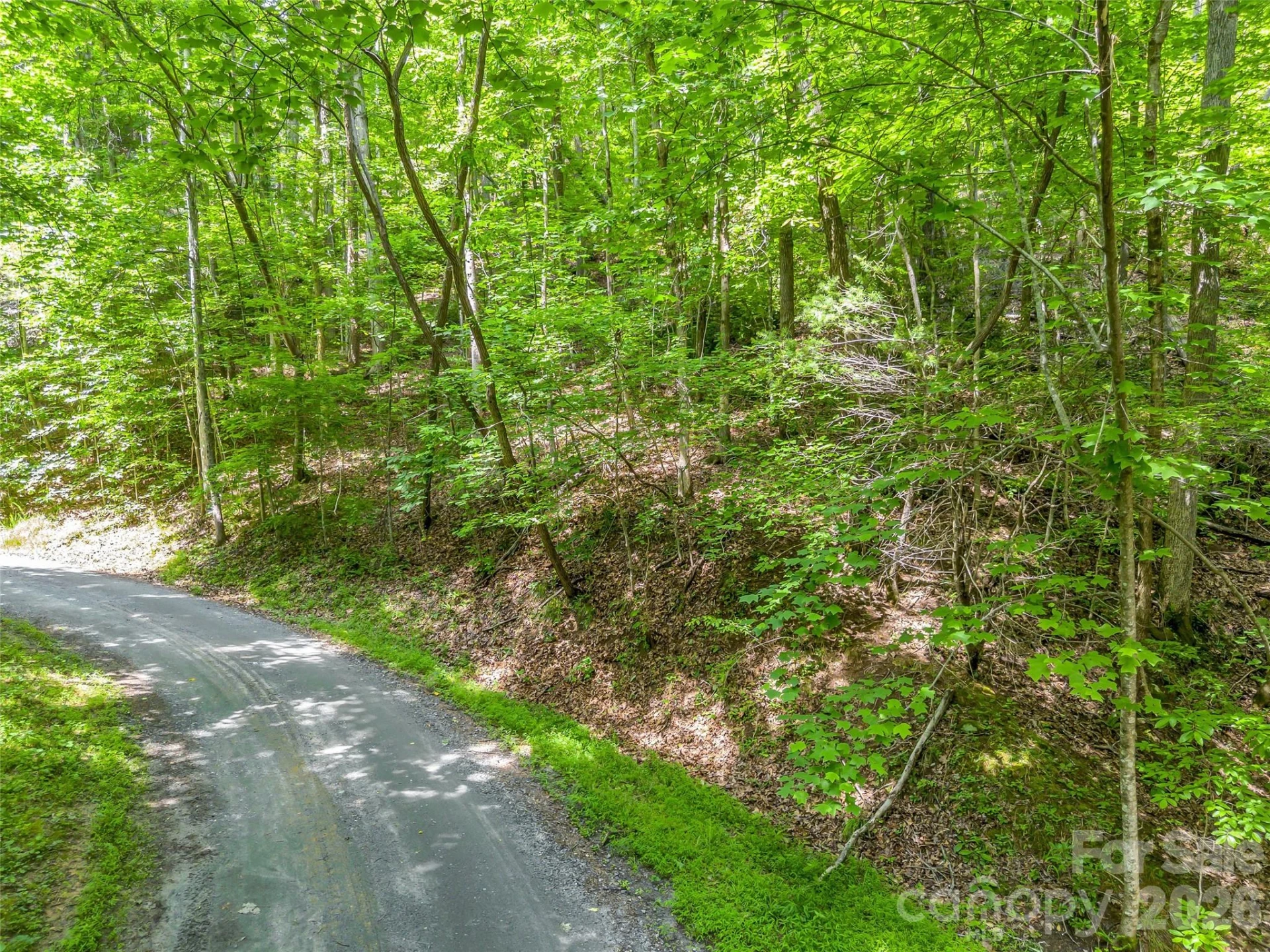 00 Chipmonk Trail #107 - Photo 7