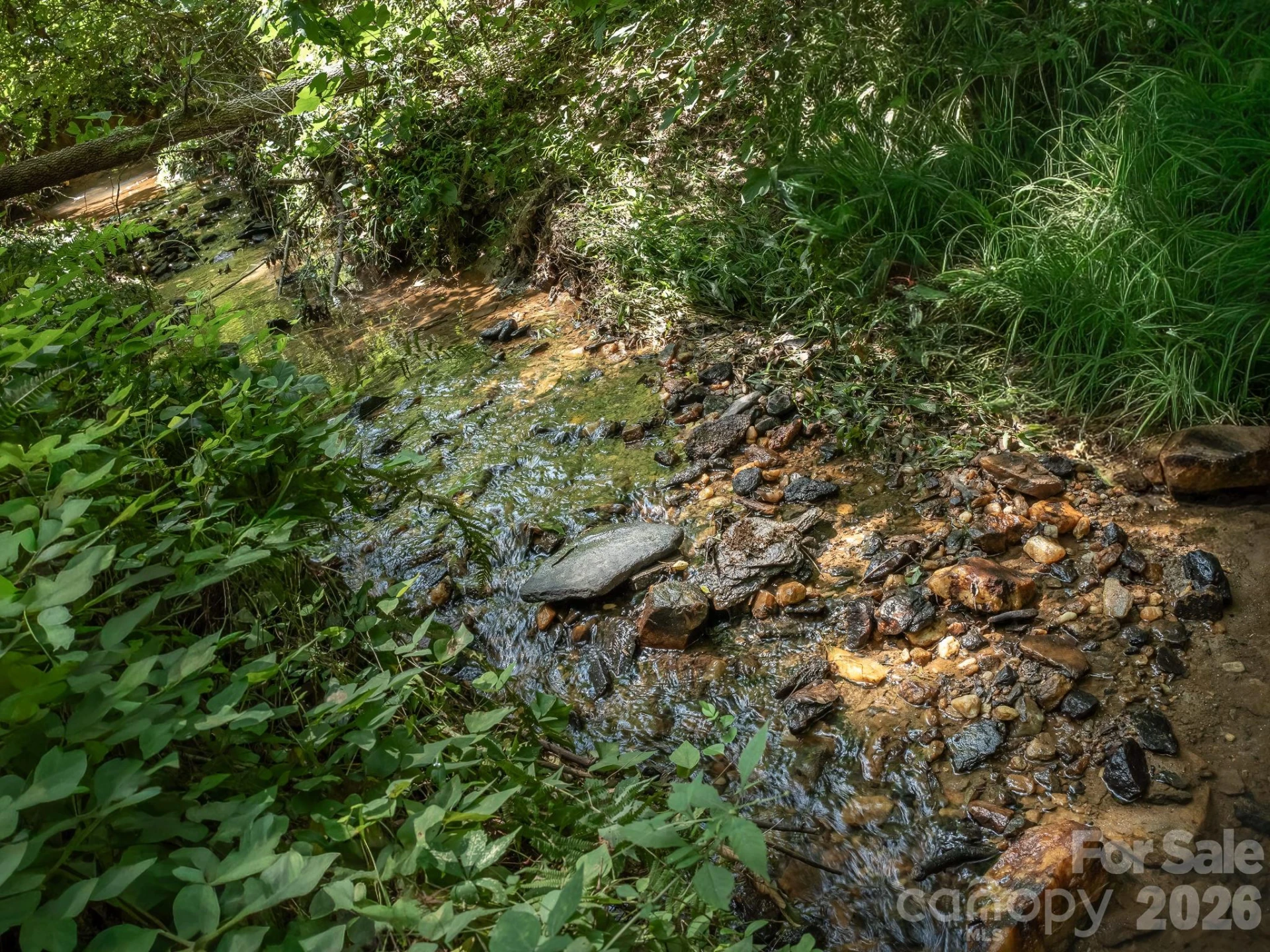 473 McEntire Road - Photo 3