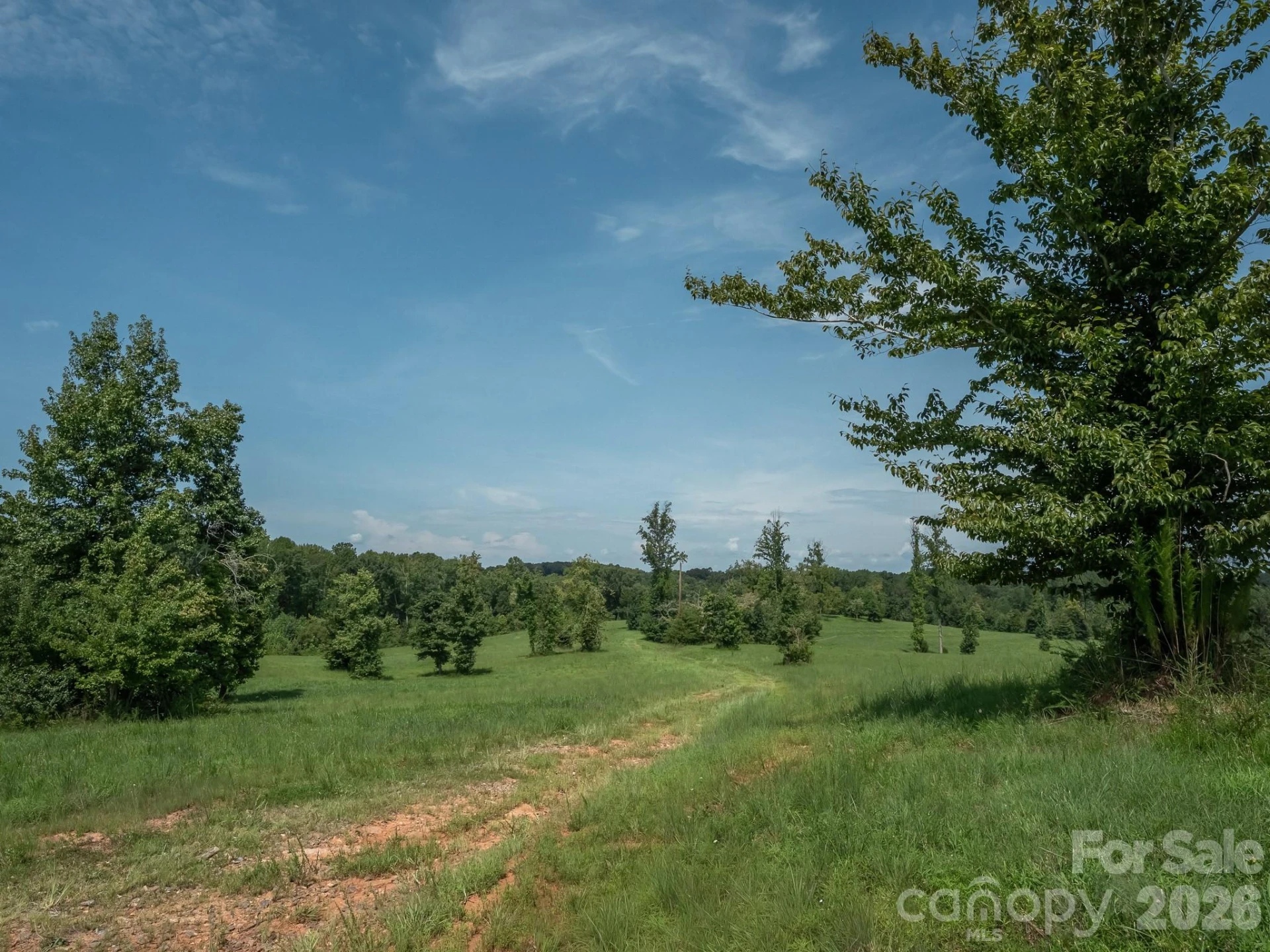473 McEntire Road - Photo 5