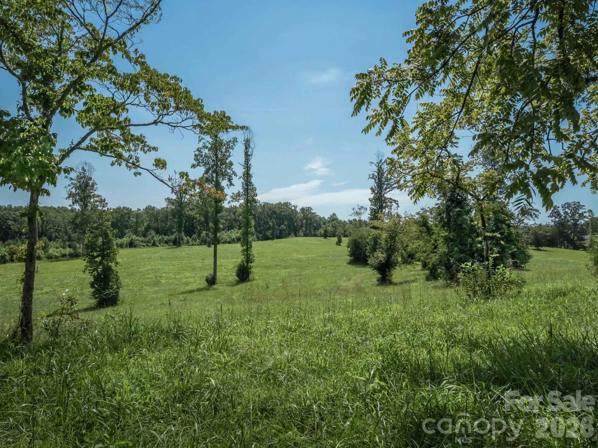 473 McEntire Road - Photo 6