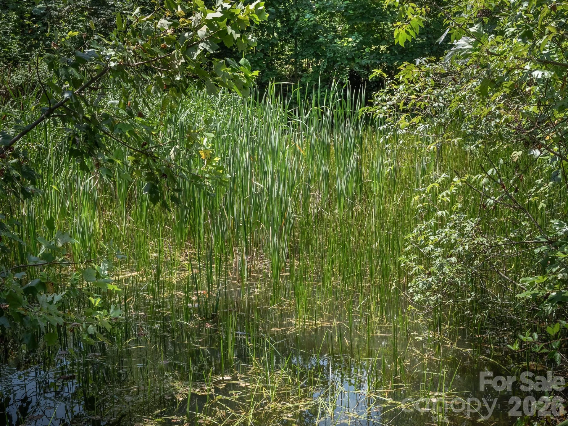 473 McEntire Road - Photo 7