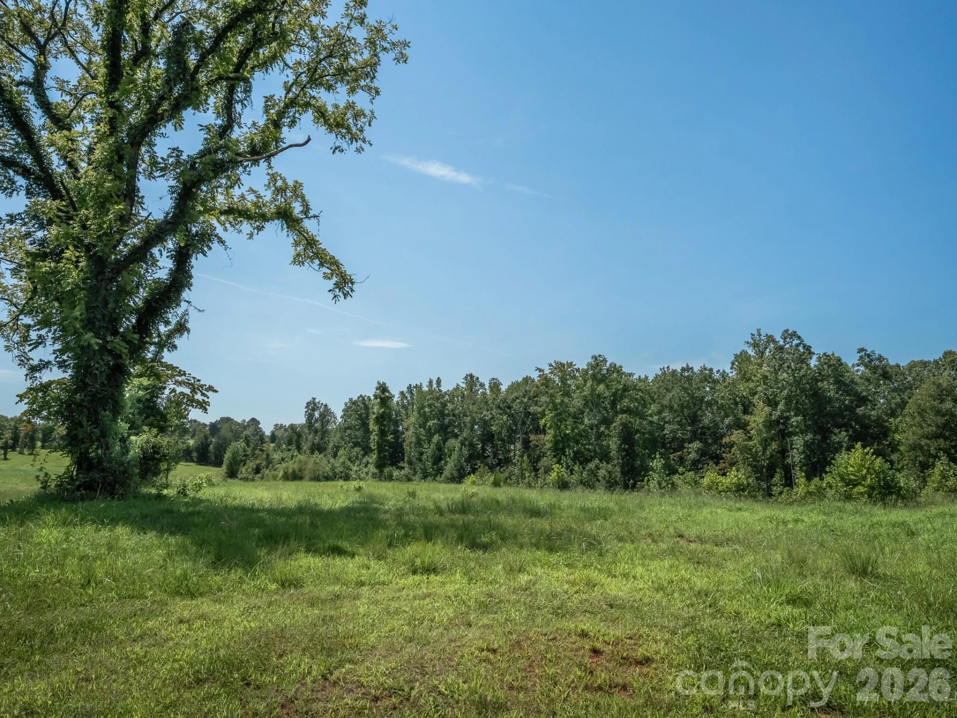 473 McEntire Road - Photo 8