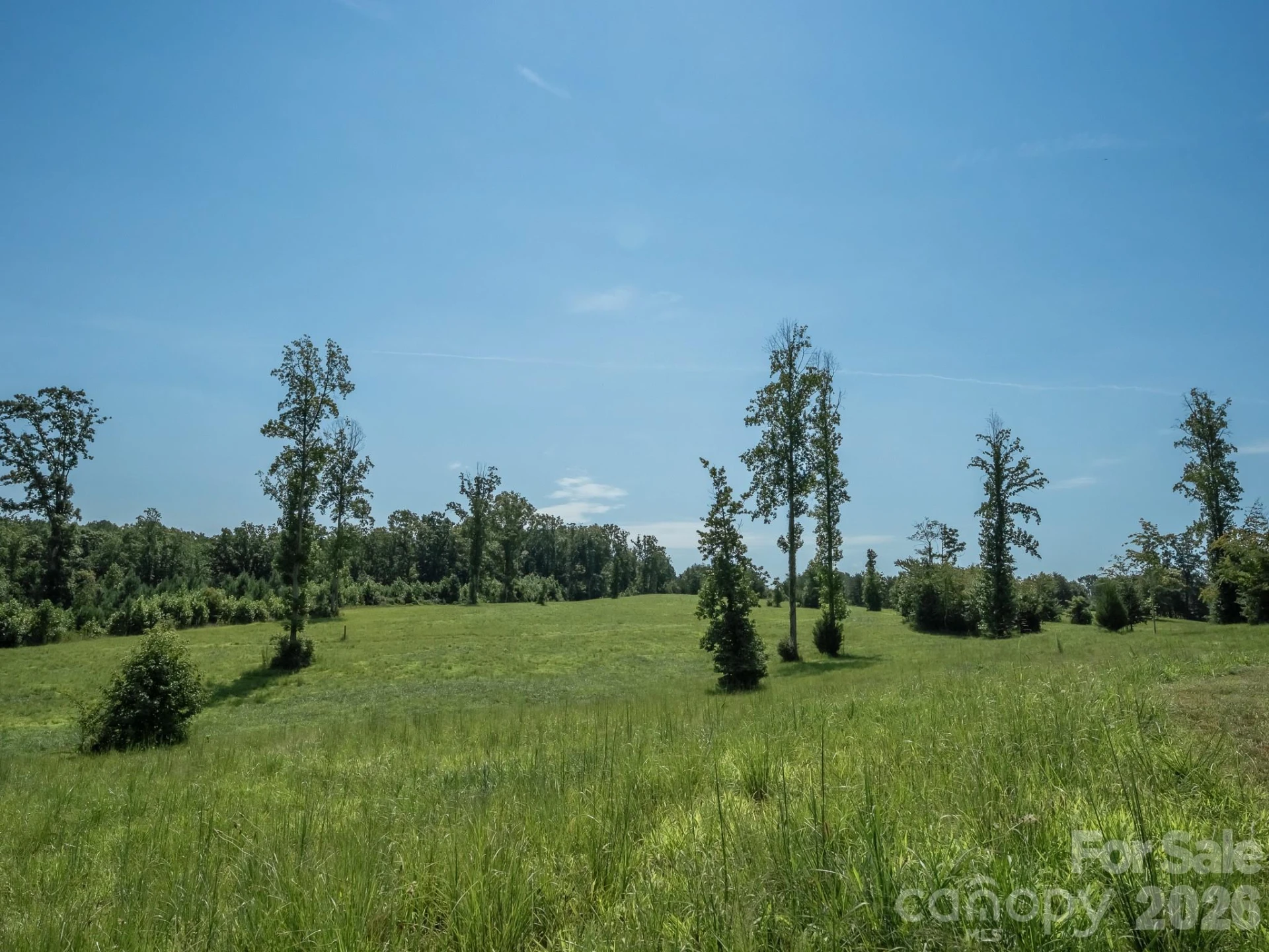 473 McEntire Road - Photo 9