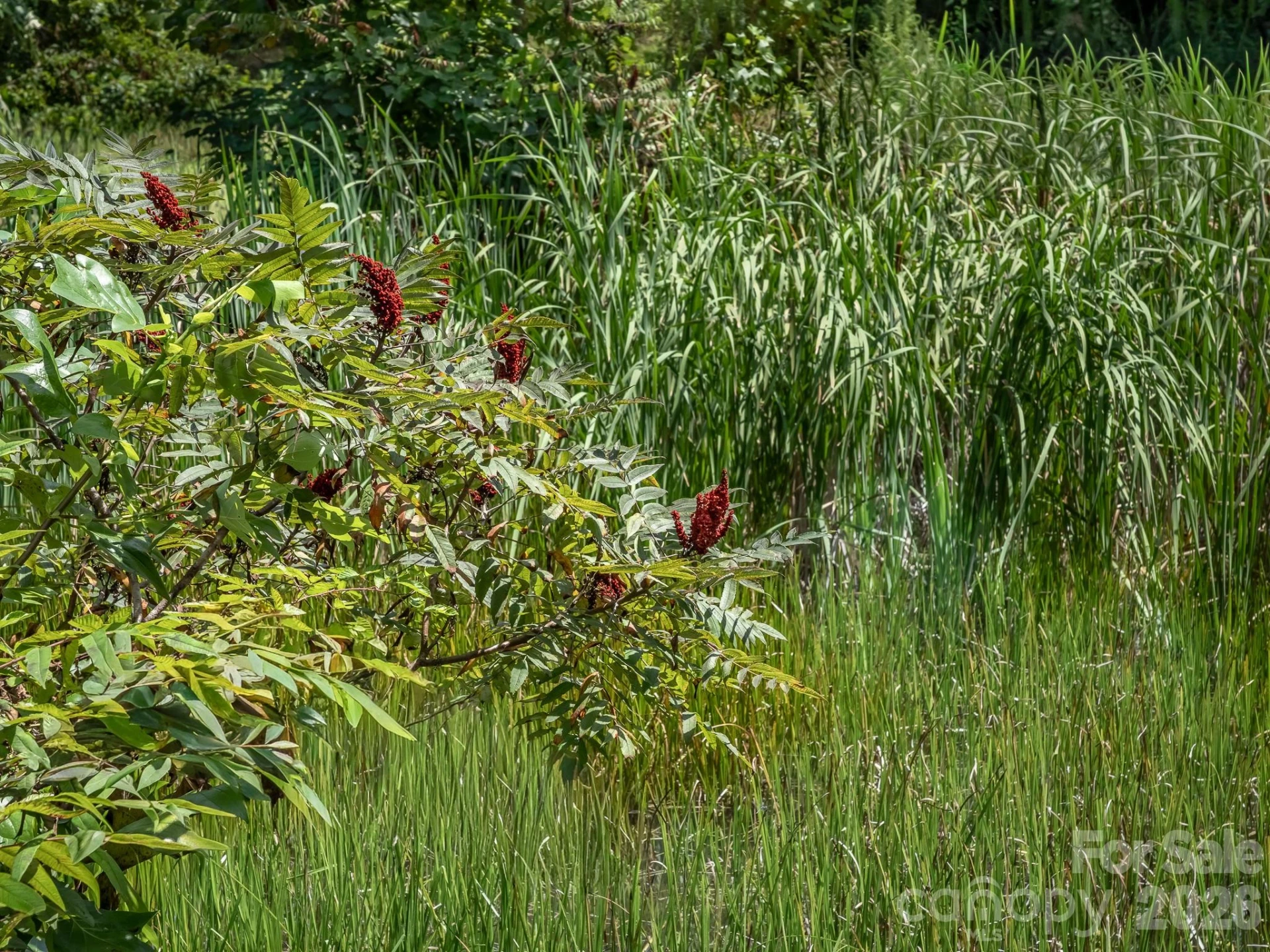 473 McEntire Road - Photo 10