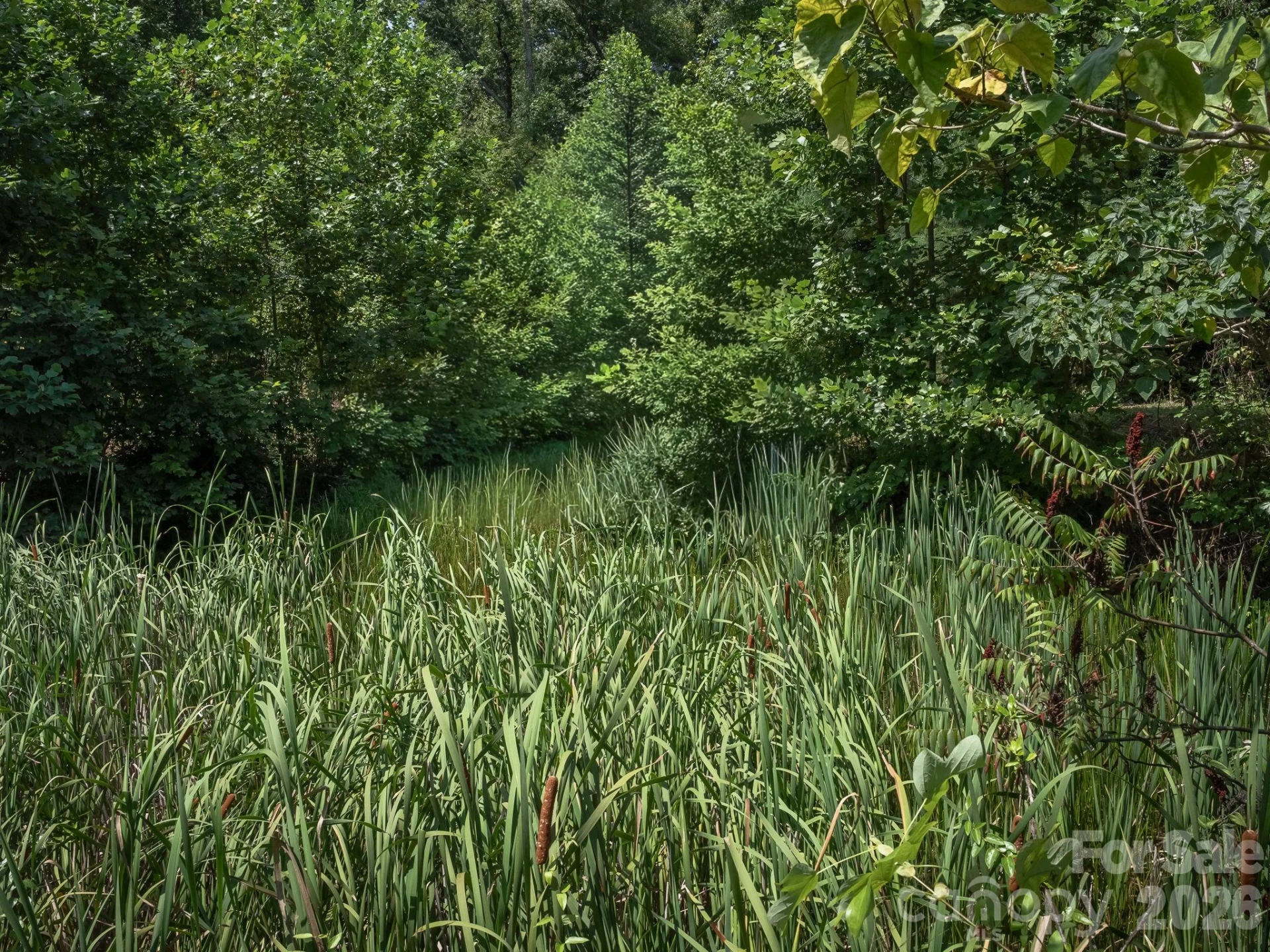 473 McEntire Road - Photo 11
