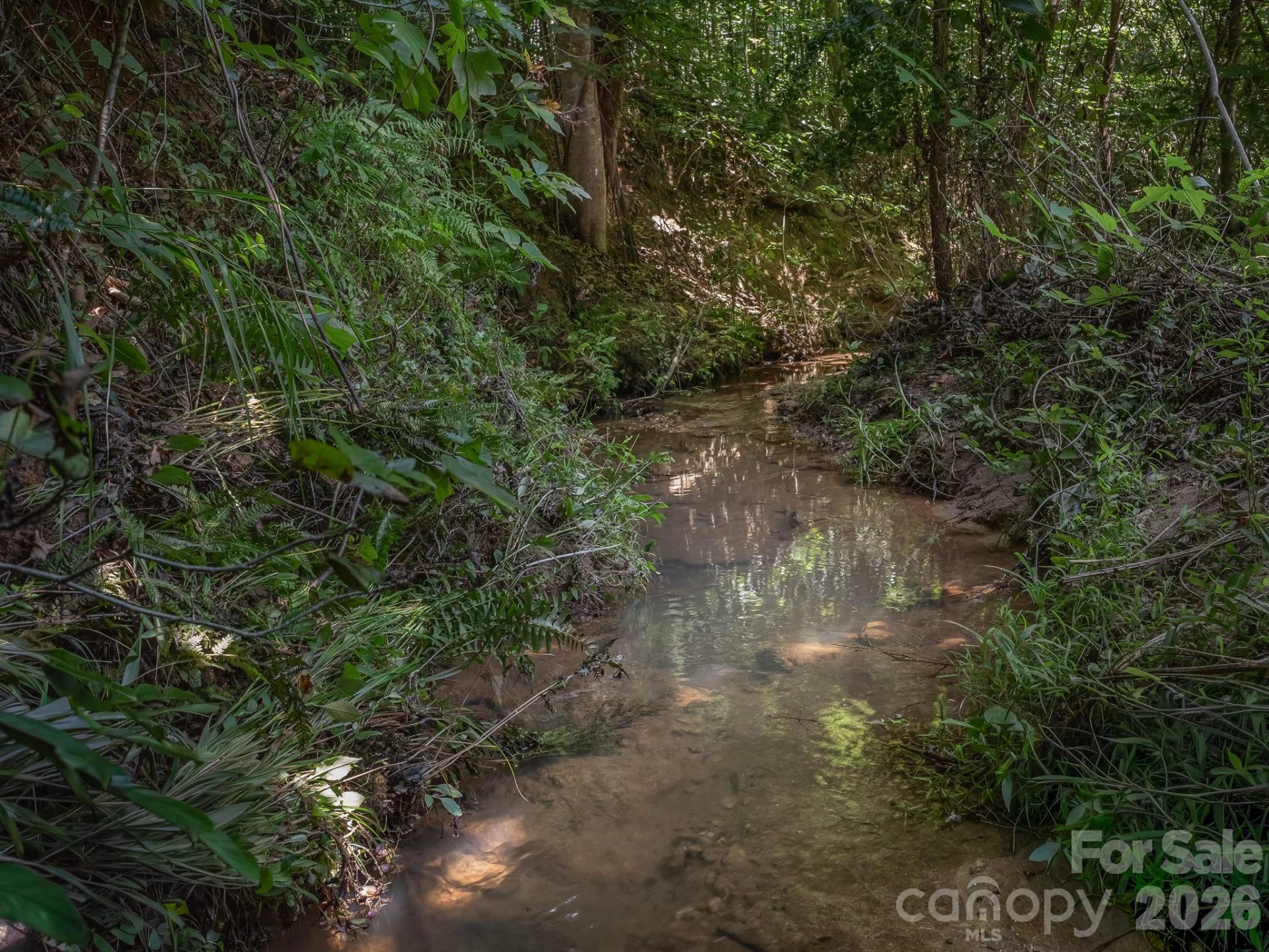 473 McEntire Road - Photo 12