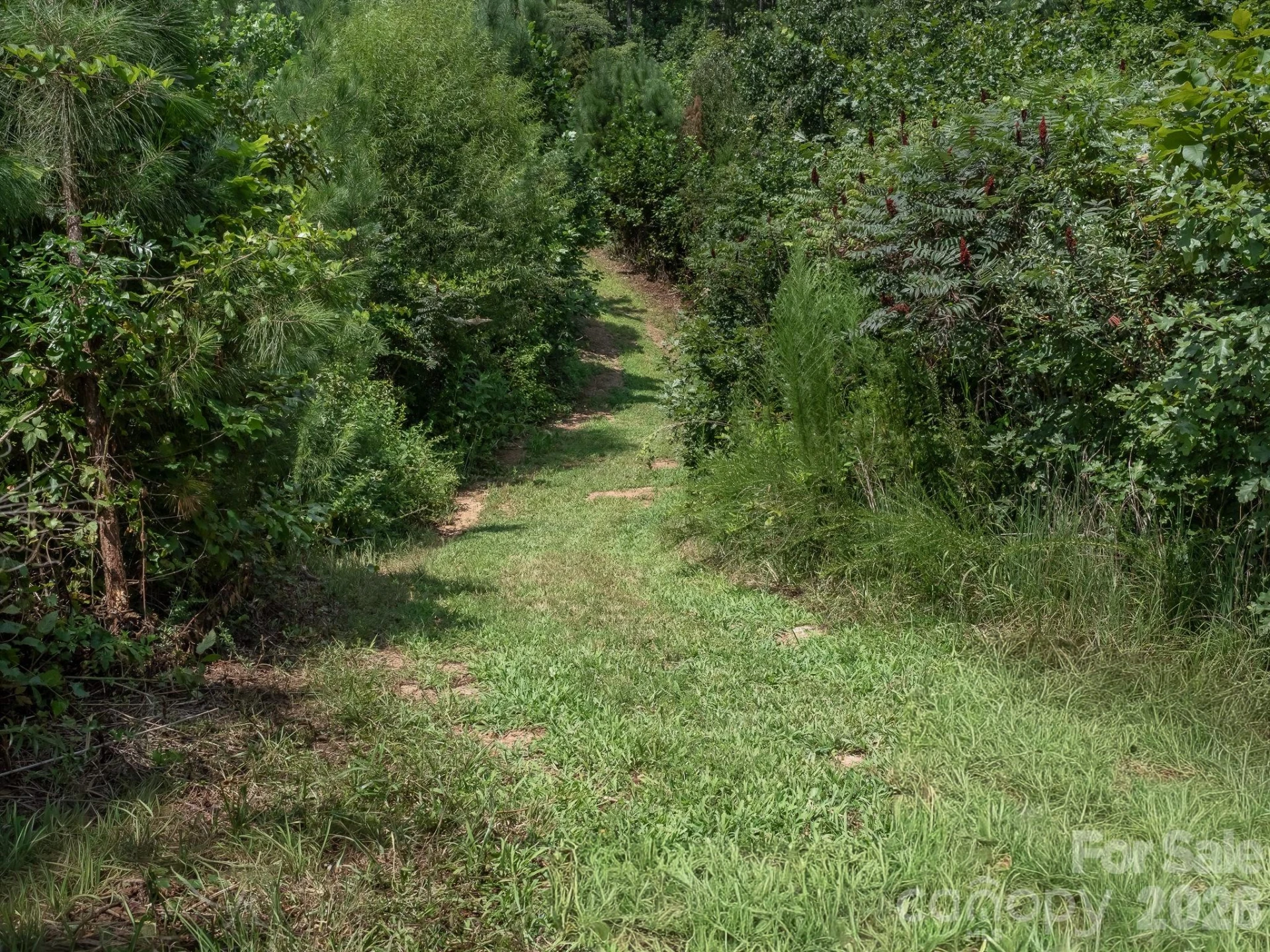 473 McEntire Road - Photo 13