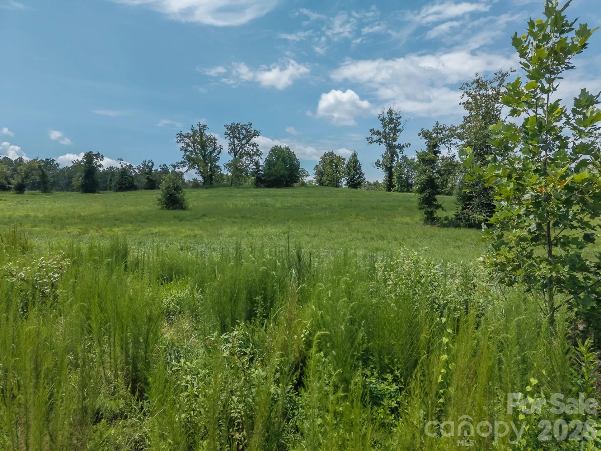 473 McEntire Road - Photo 20
