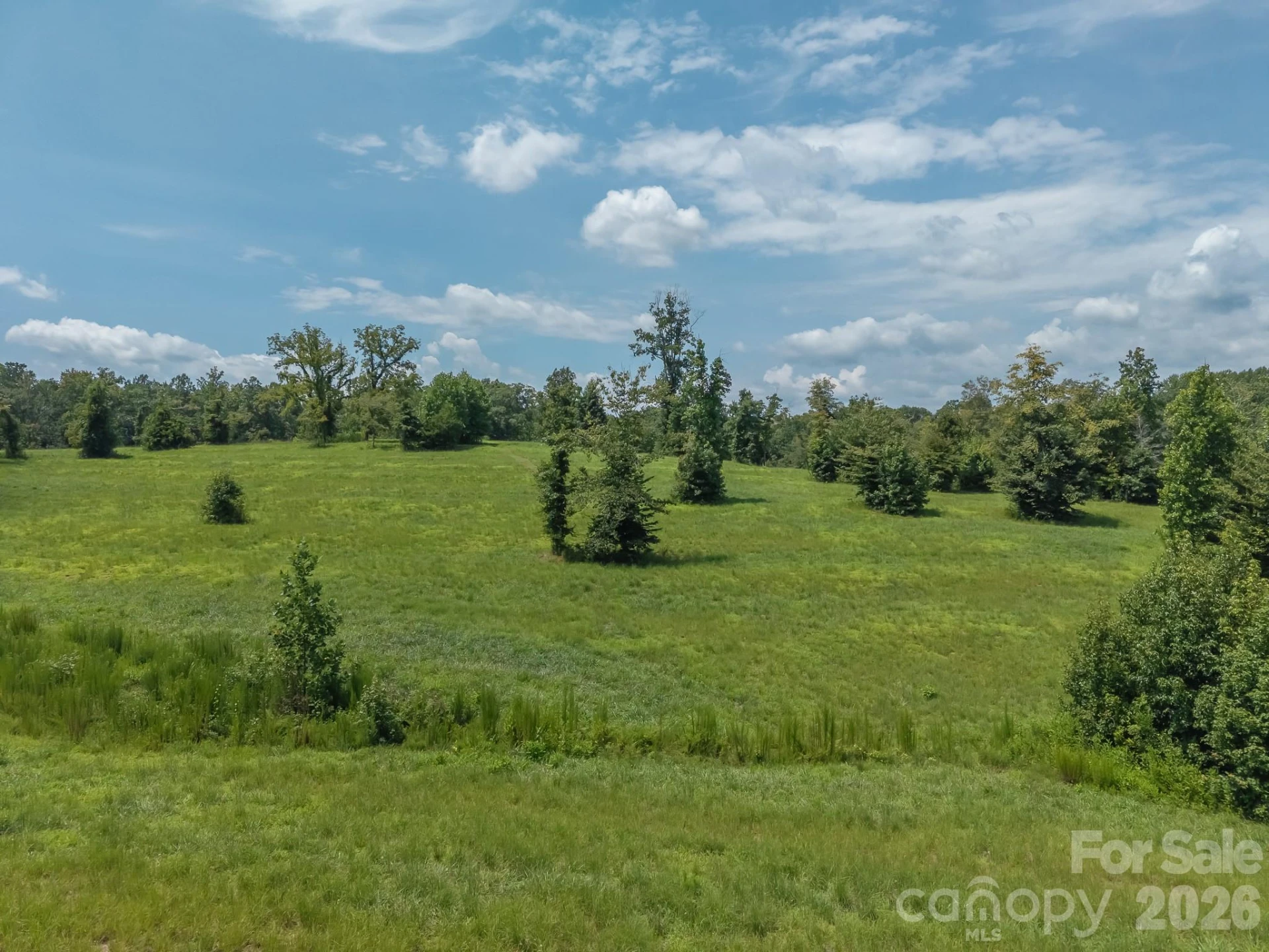 473 McEntire Road - Photo 21