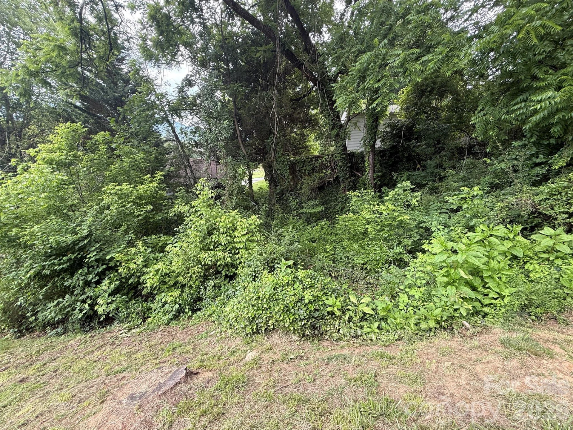 31 Paralee Lane - Photo 9