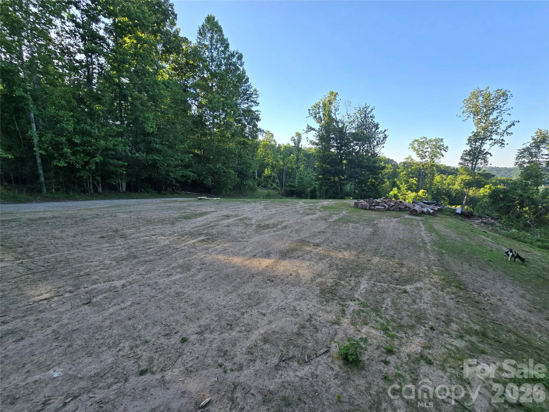 1480 Davis Mountain Road - Photo 15